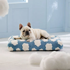 Lesure Dog Bed