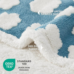 Lesure Waterproof Pet Blanket for Dogs and Cats