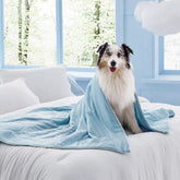 Lesure Cooling Blanket for Cats and Dogs