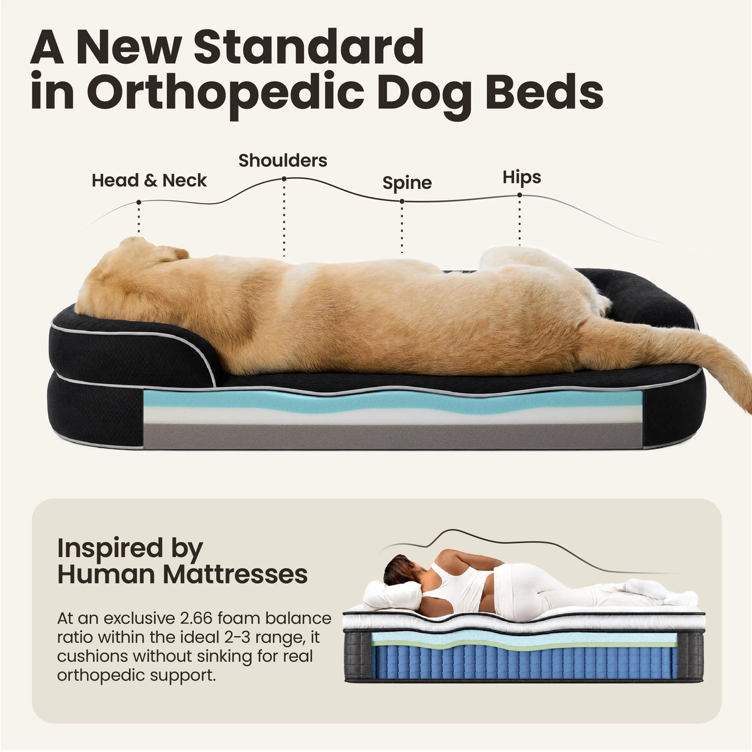 Lesure RealOrtho™ Dog Bed