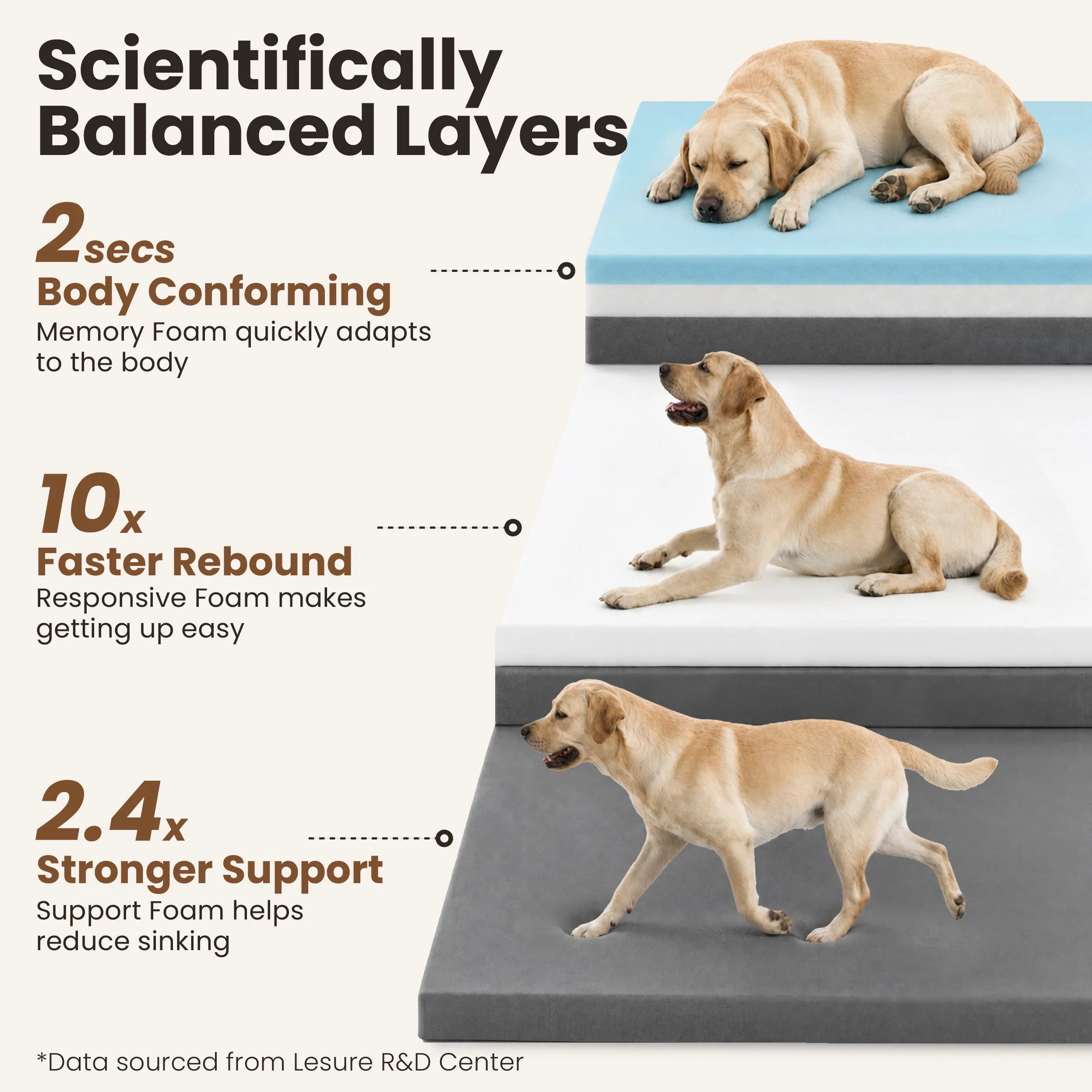 Lesure RealOrtho™ Dog Bed