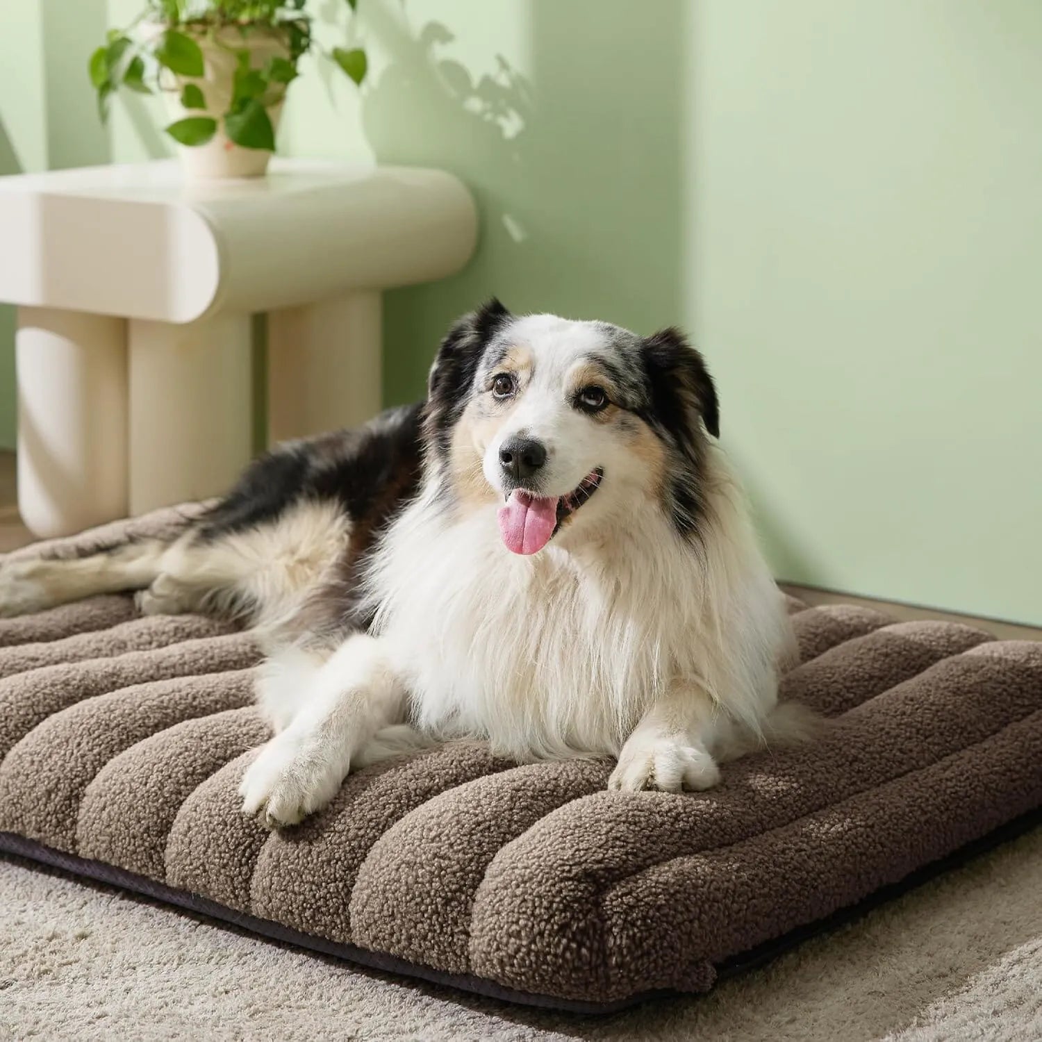 Lesure Orthopedic Dog Bed