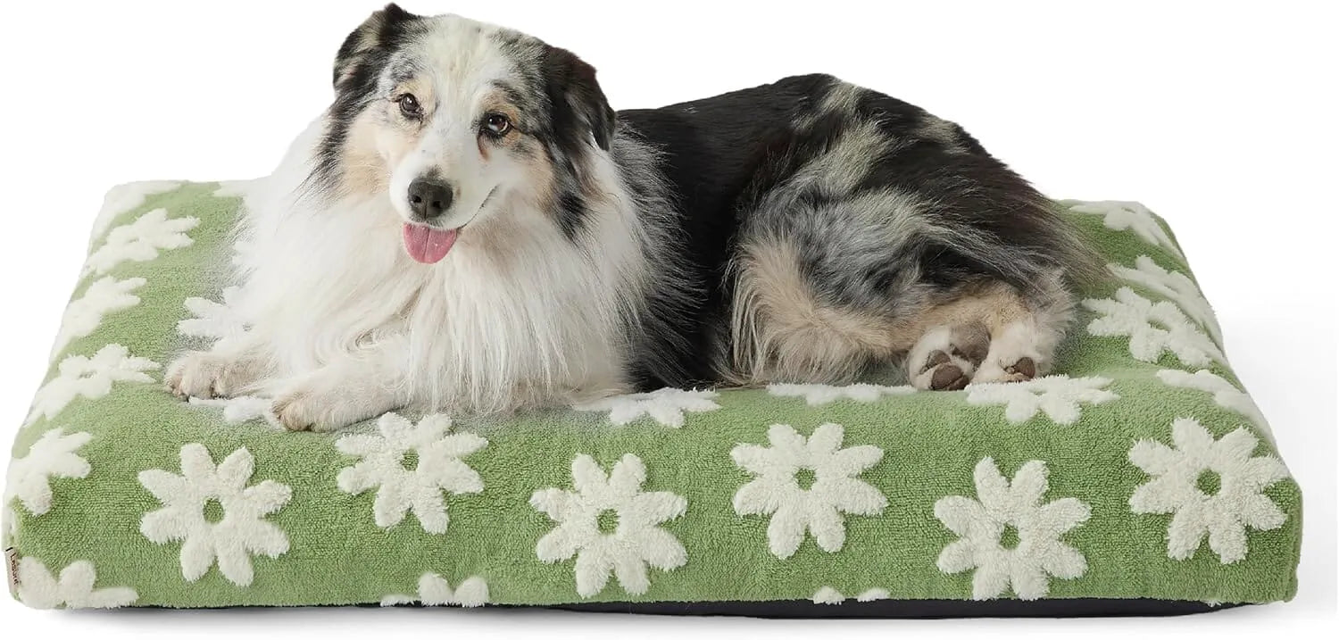 Lesure Dog Bed