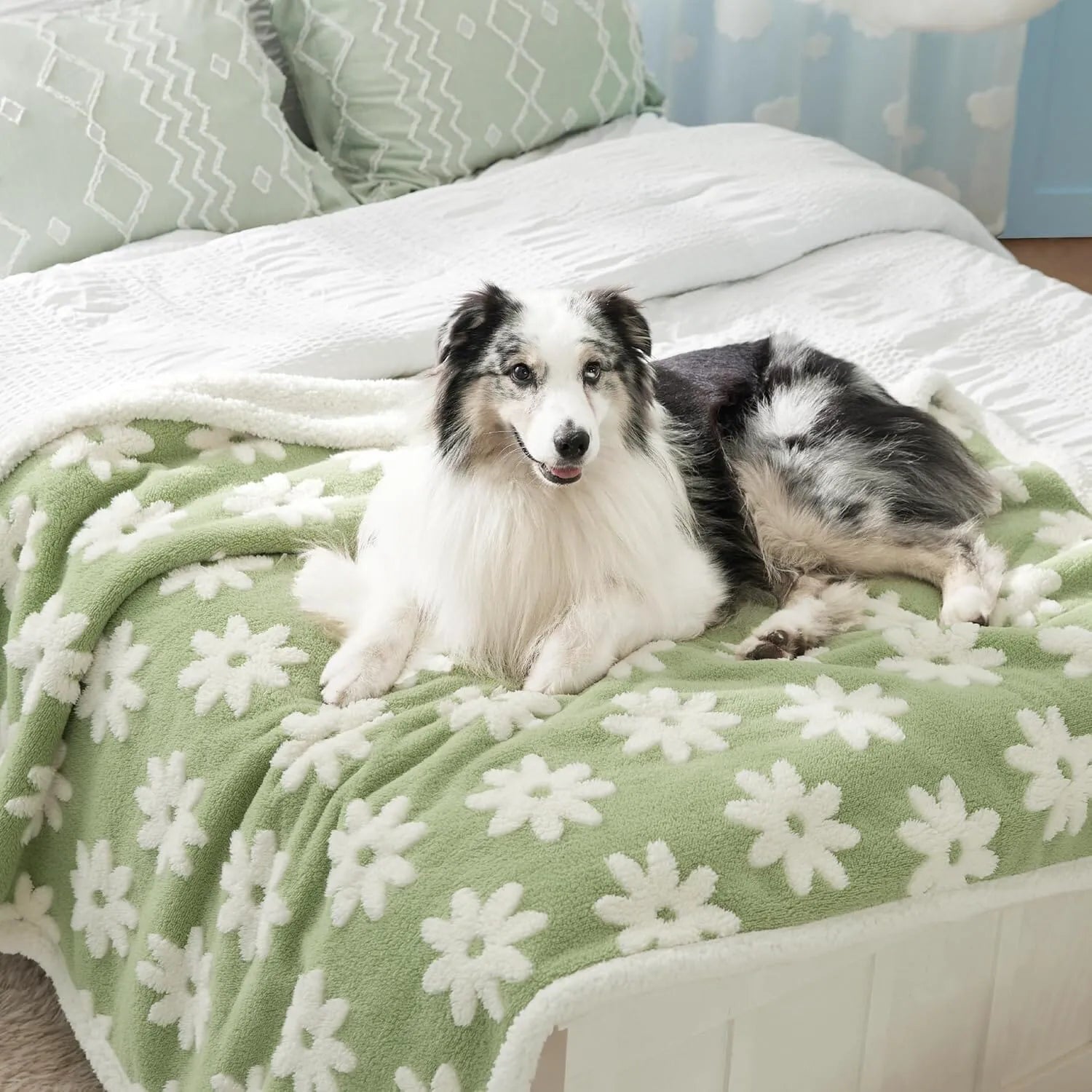 Lesure Waterproof Pet Blanket for Dogs and Cats