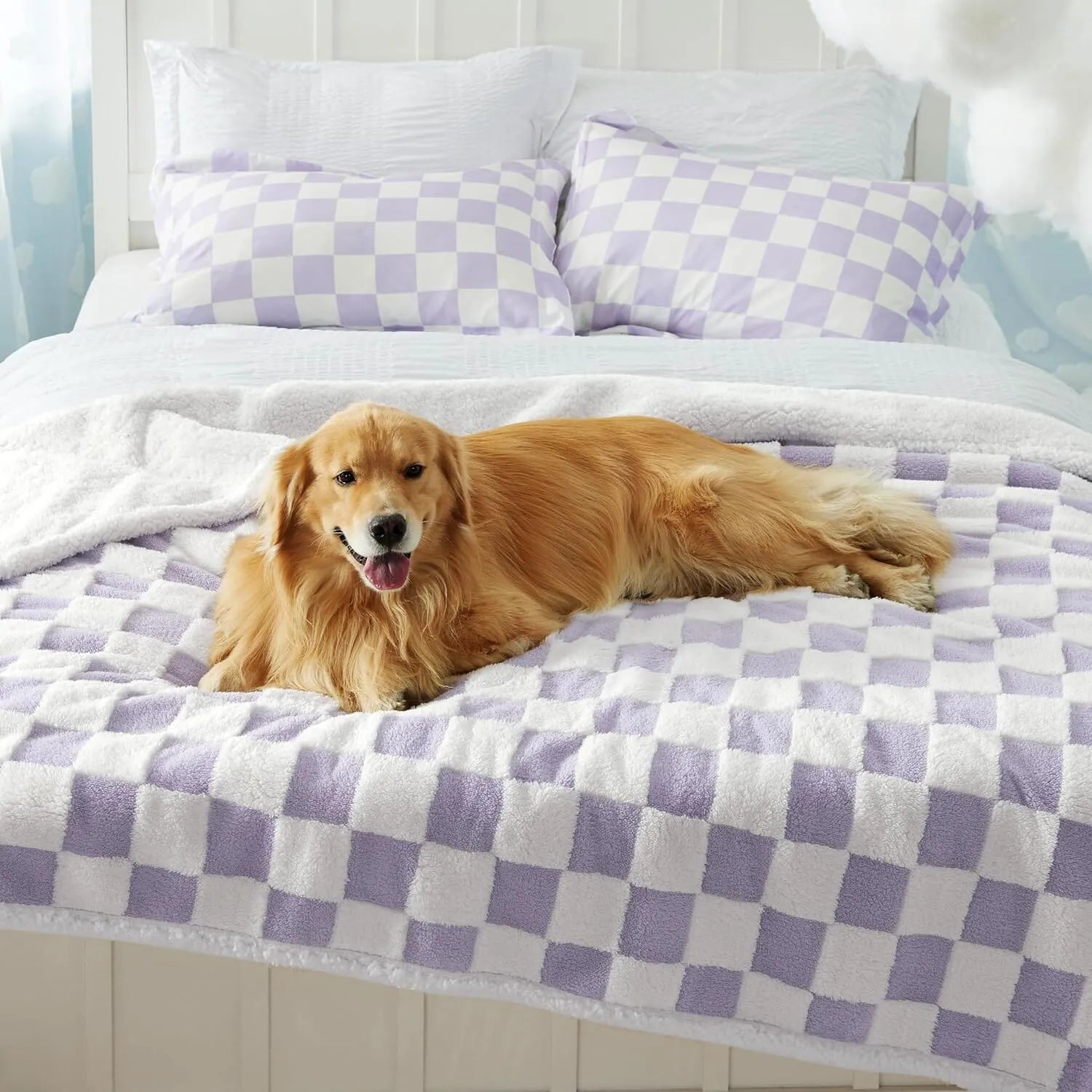 Lesure Waterproof Pet Blanket for Dogs and Cats