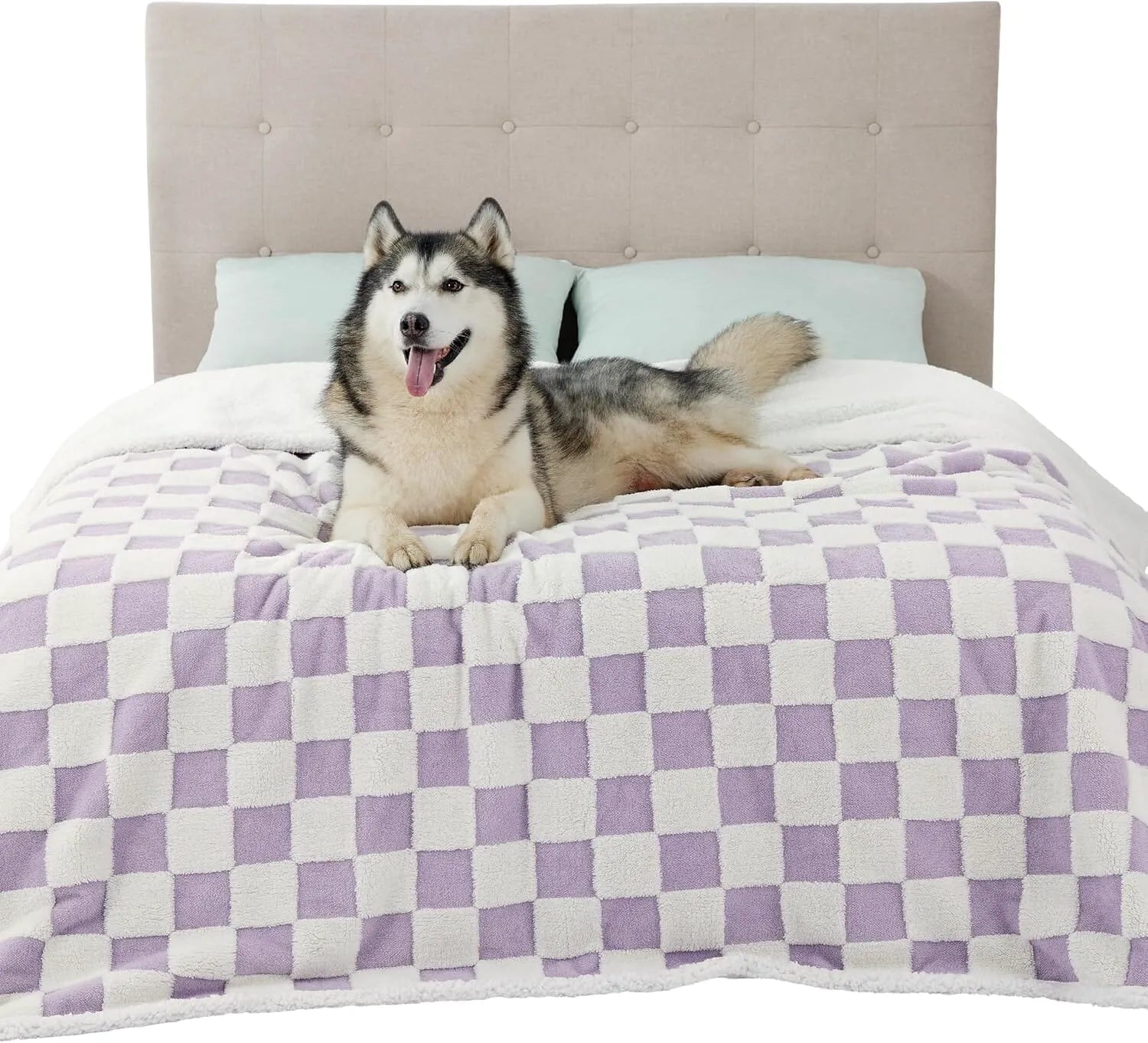 Lesure Waterproof Pet Blanket for Dogs and Cats