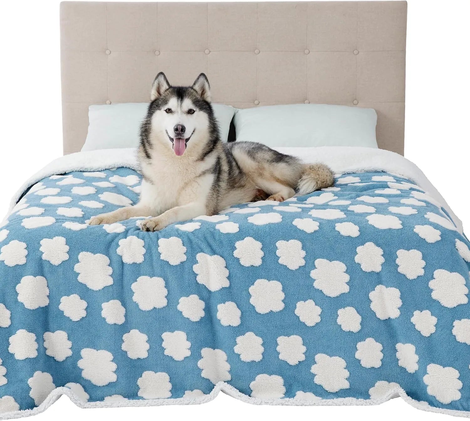 Lesure Waterproof Pet Blanket for Dogs and Cats