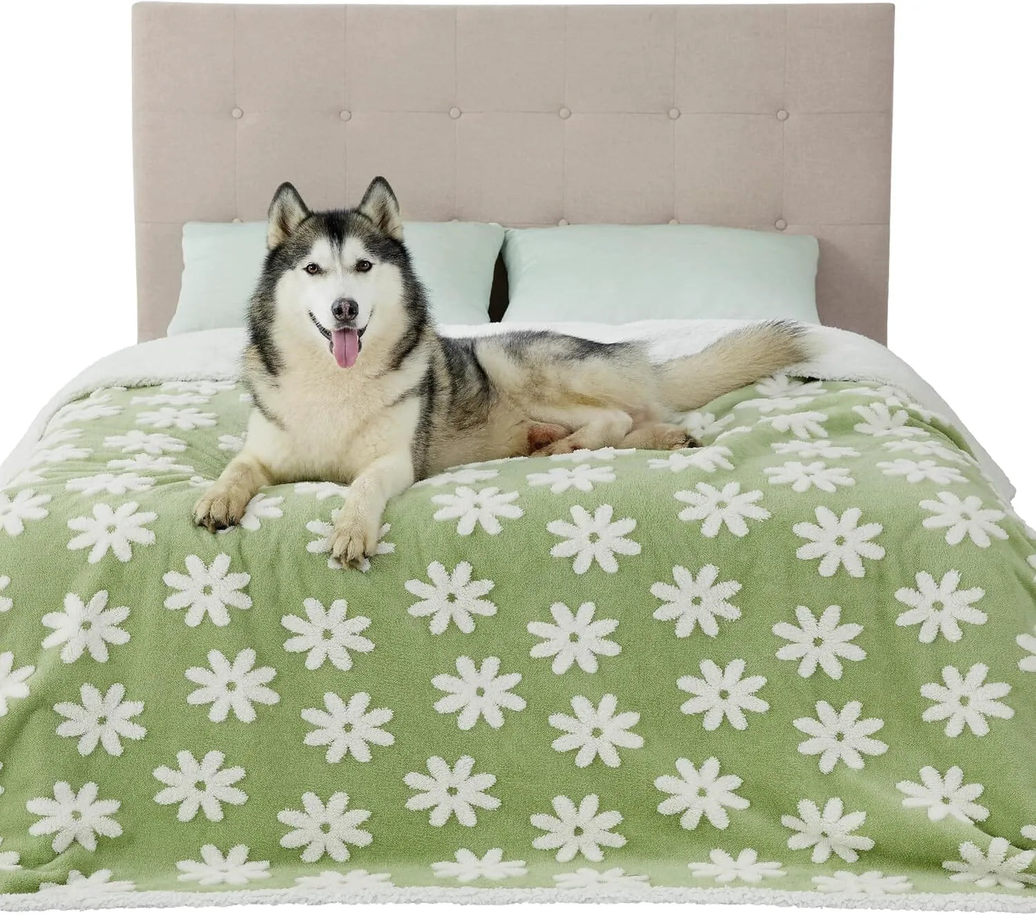 Lesure Waterproof Pet Blanket for Dogs and Cats