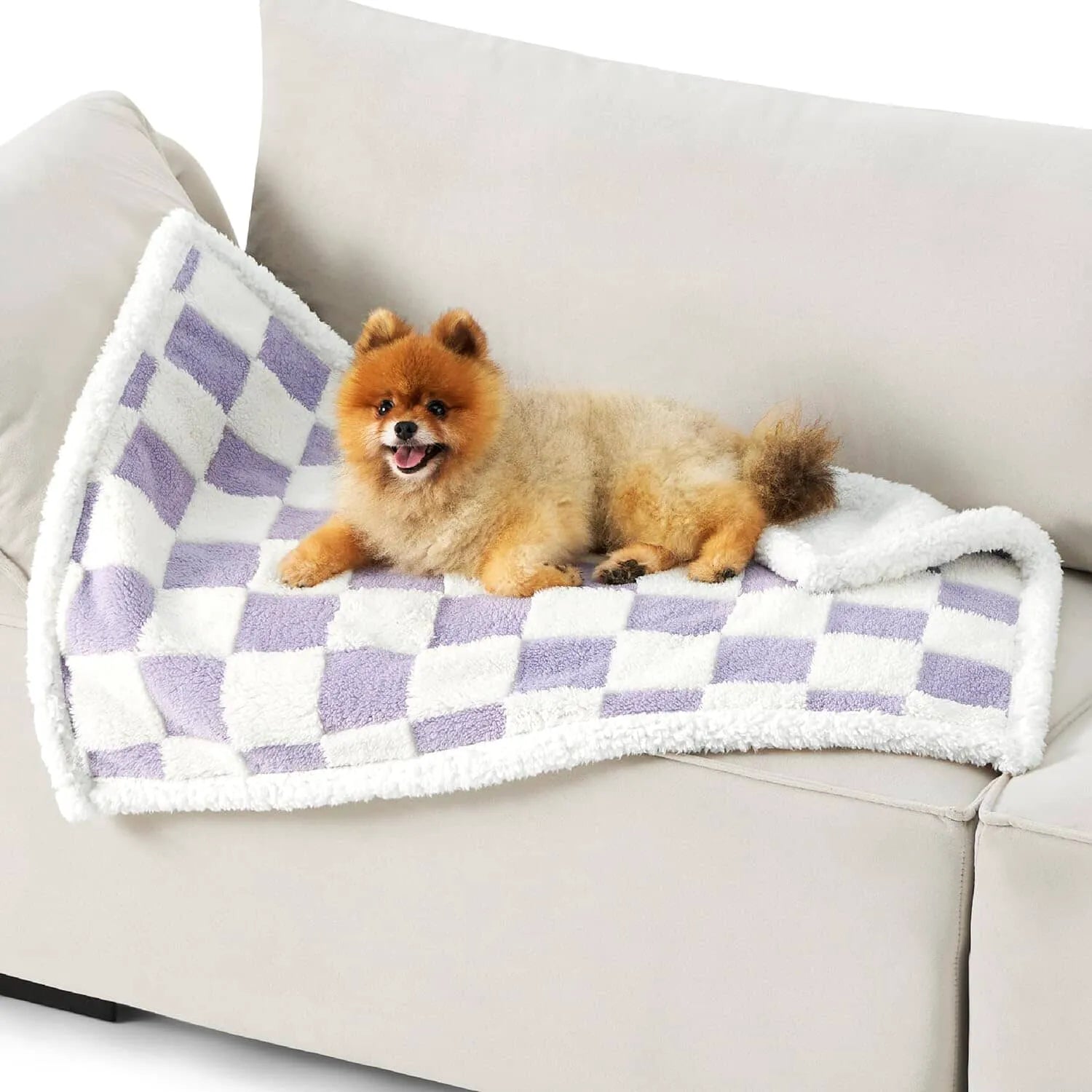 Lesure Waterproof Pet Blanket for Dogs and Cats