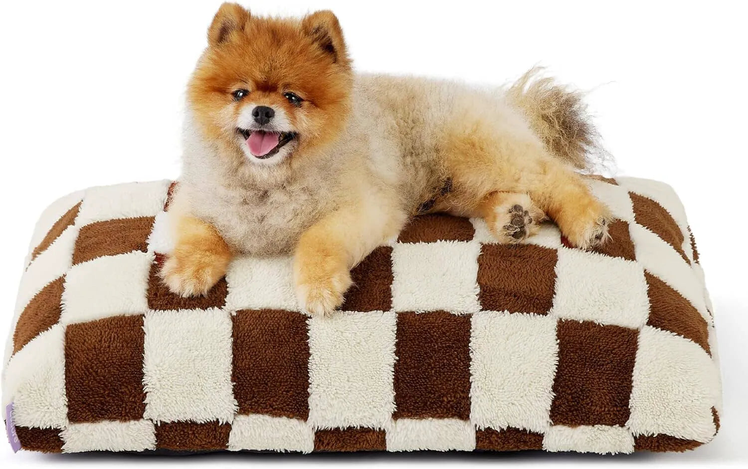 Lesure Dog Bed