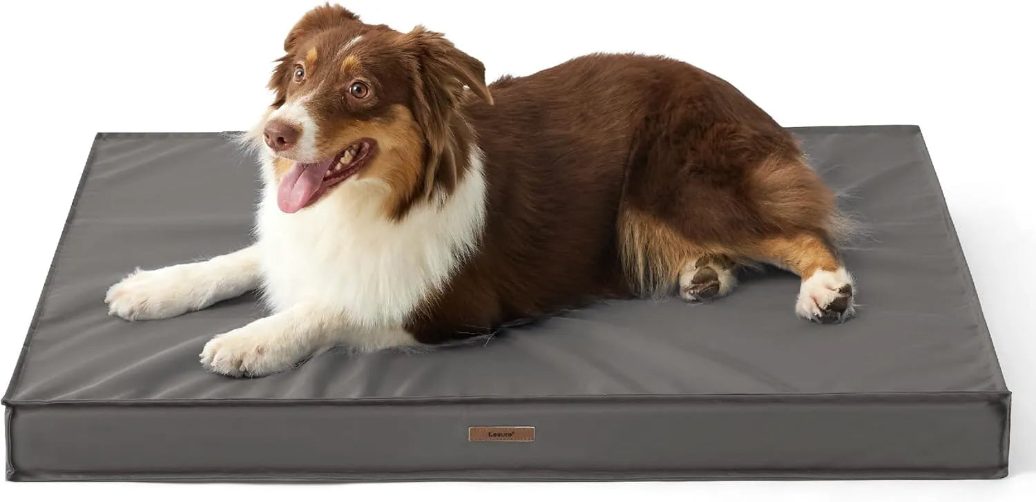 Lesure Waterproof Dog Bed