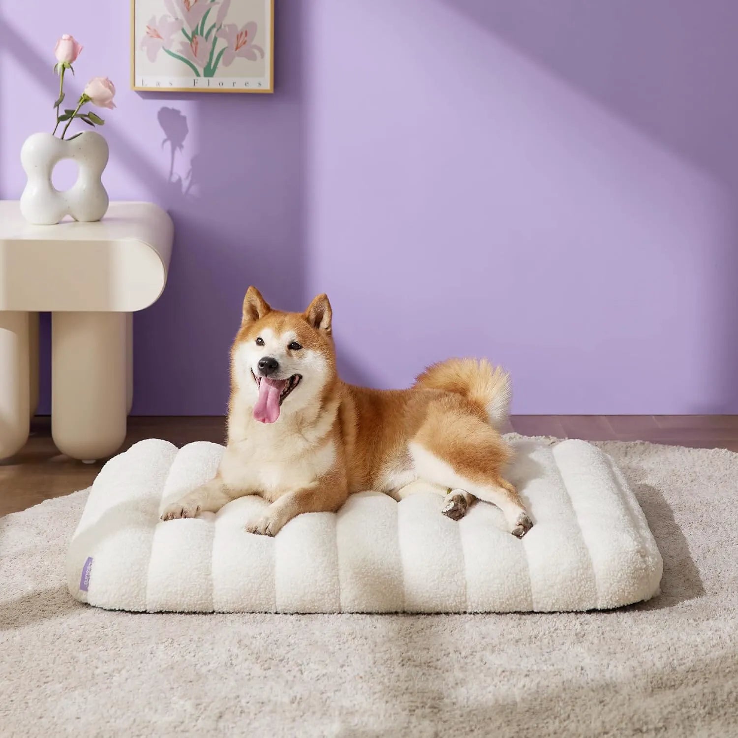 Lesure Orthopedic Dog Bed