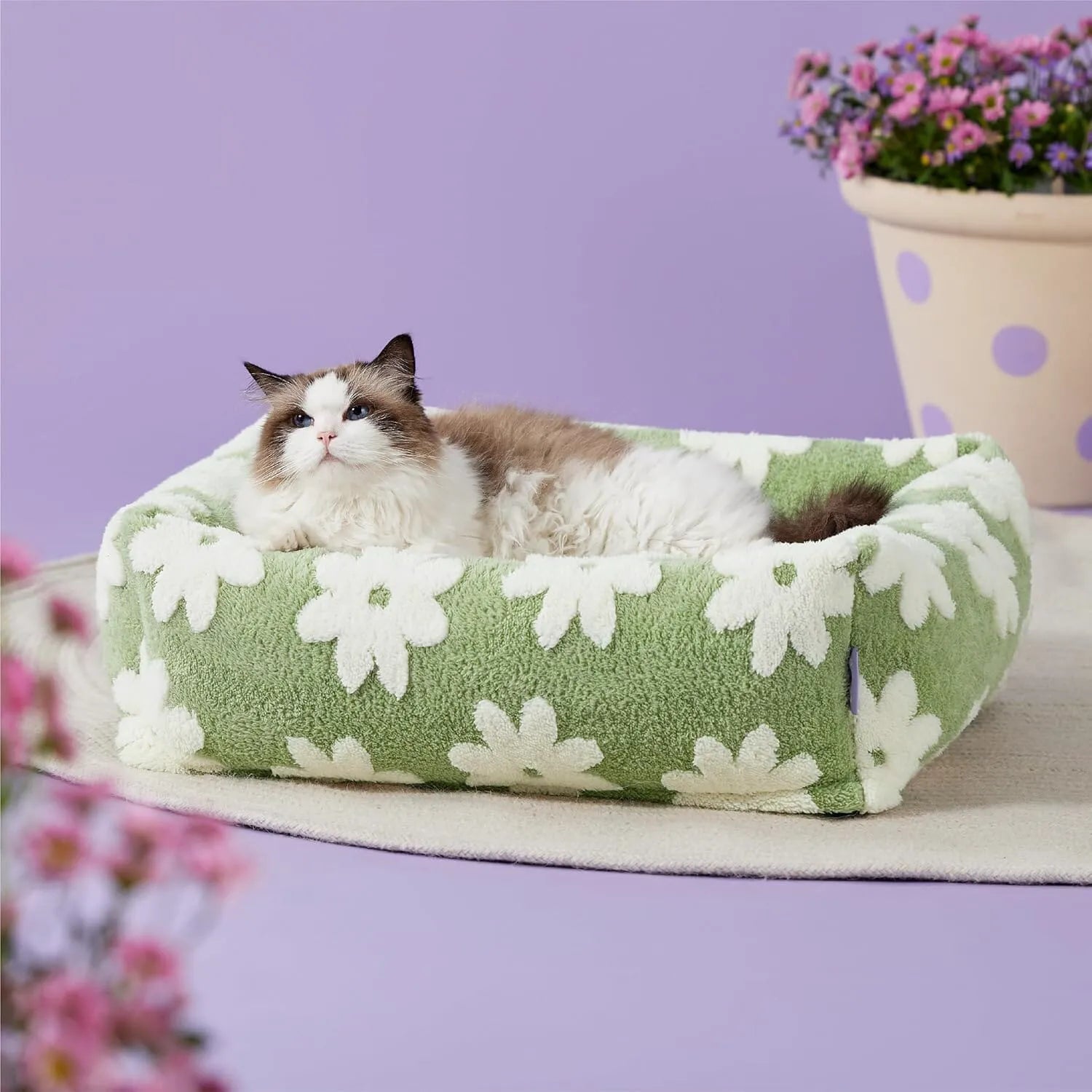 Lesure Rectangle Pet Bed