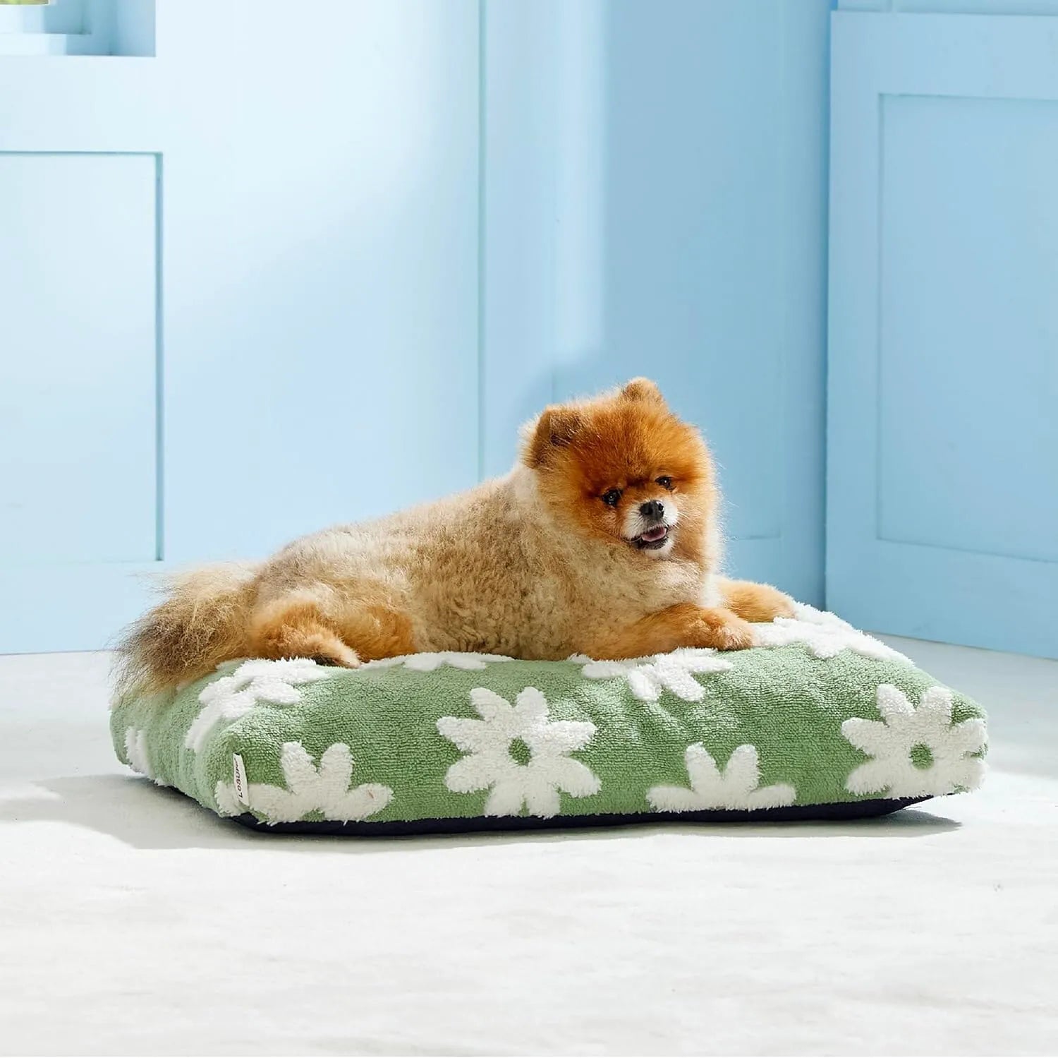 Lesure Dog Bed