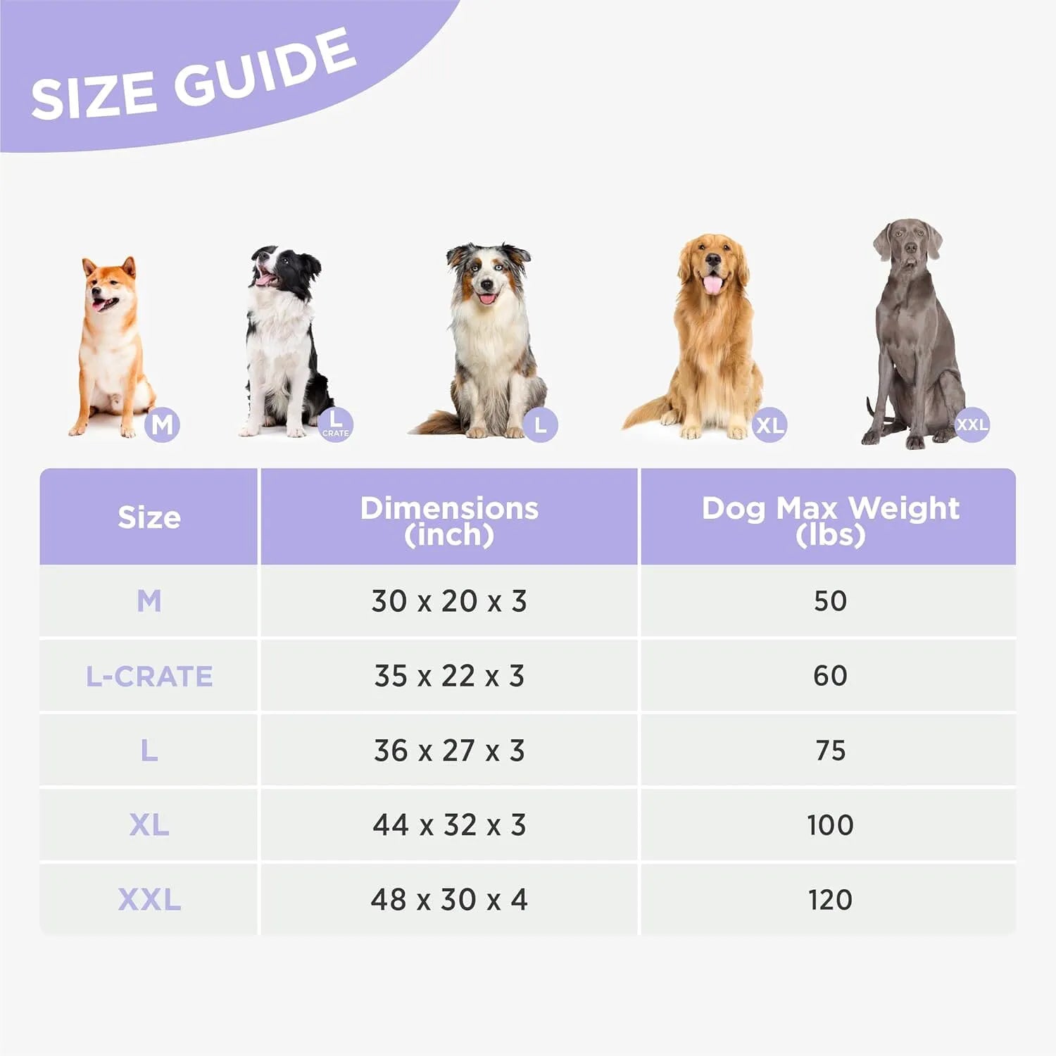 Lesure Waterproof Dog Bed