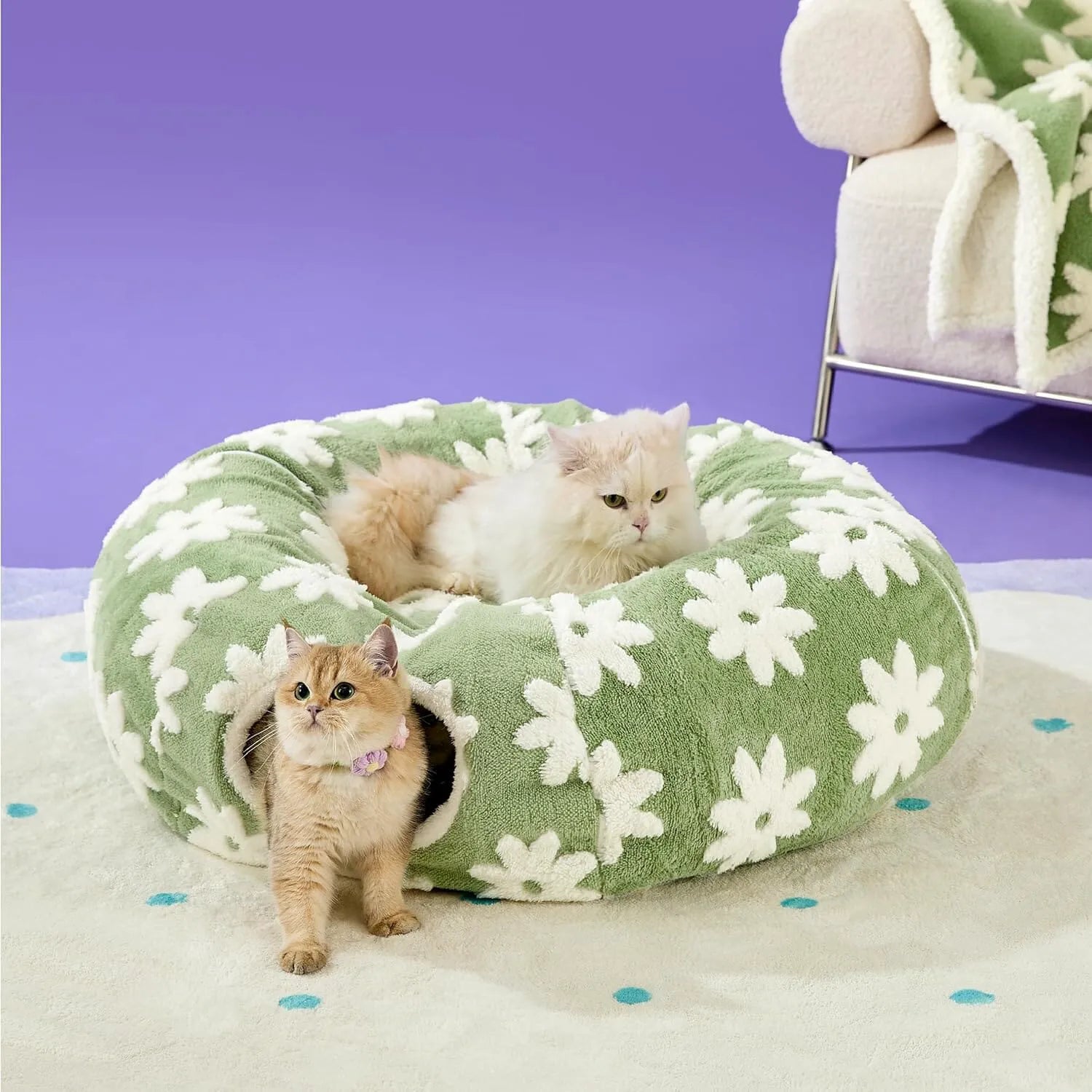 Lesure 2-in-1 Cat Tunnel Bed