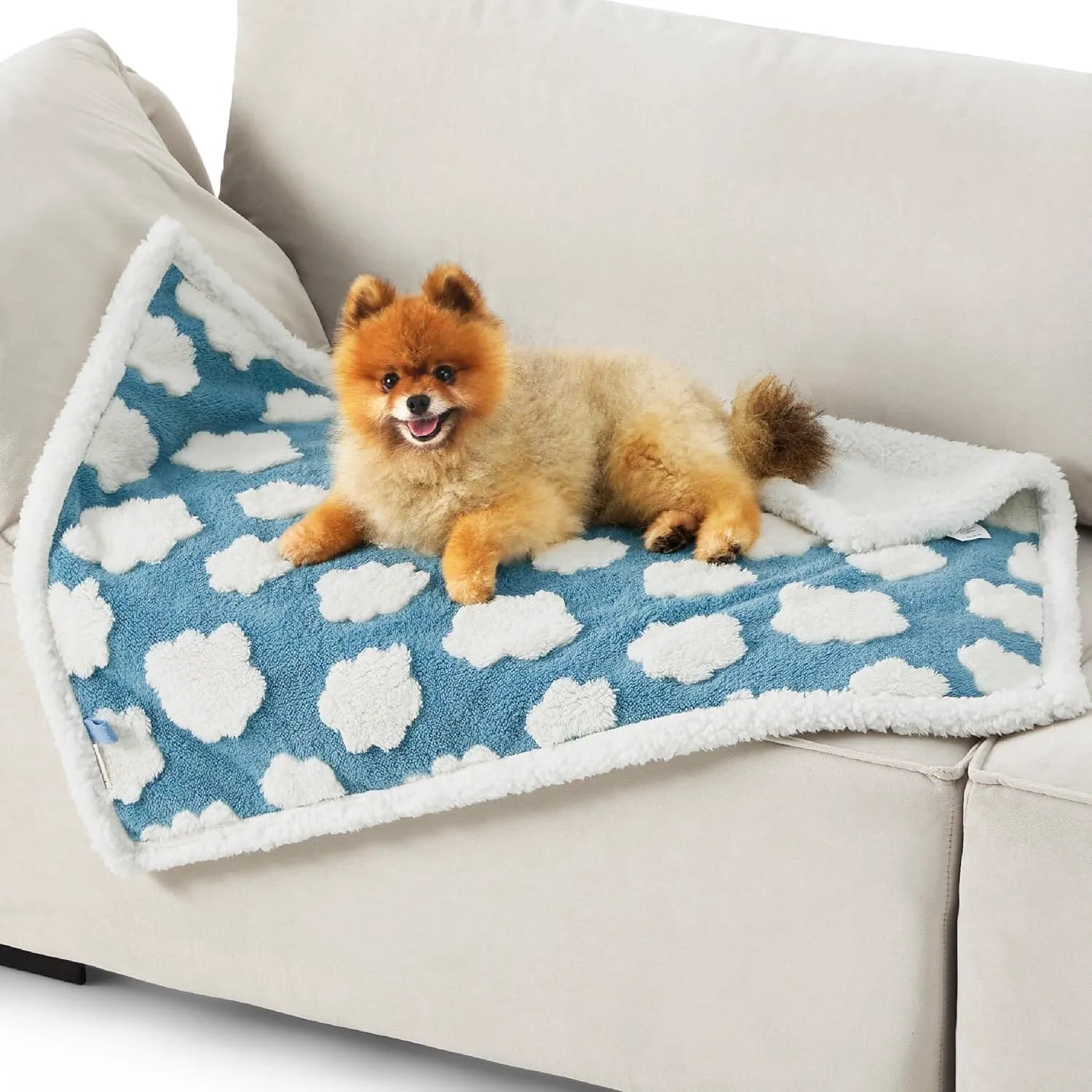 Lesure Waterproof Pet Blanket for Dogs and Cats