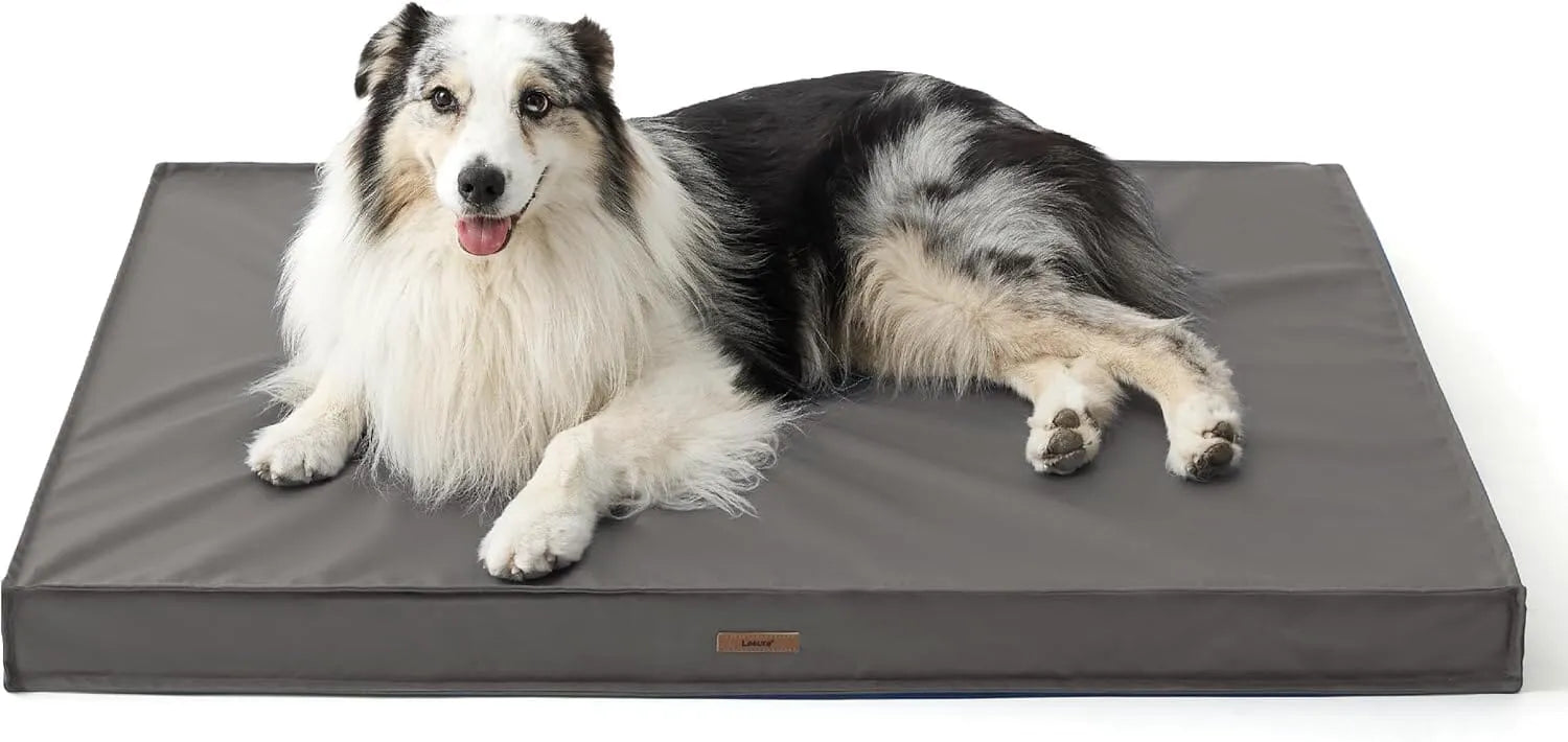 Lesure Waterproof Dog Bed