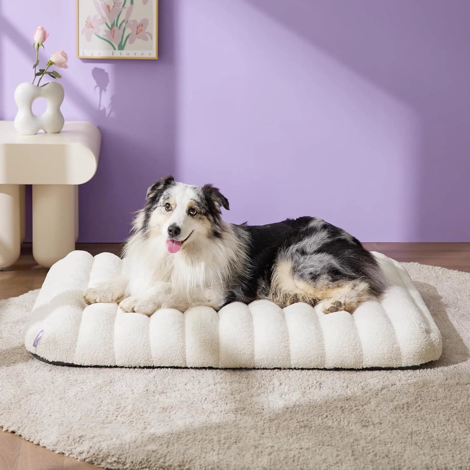 Lesure Orthopedic Dog Bed