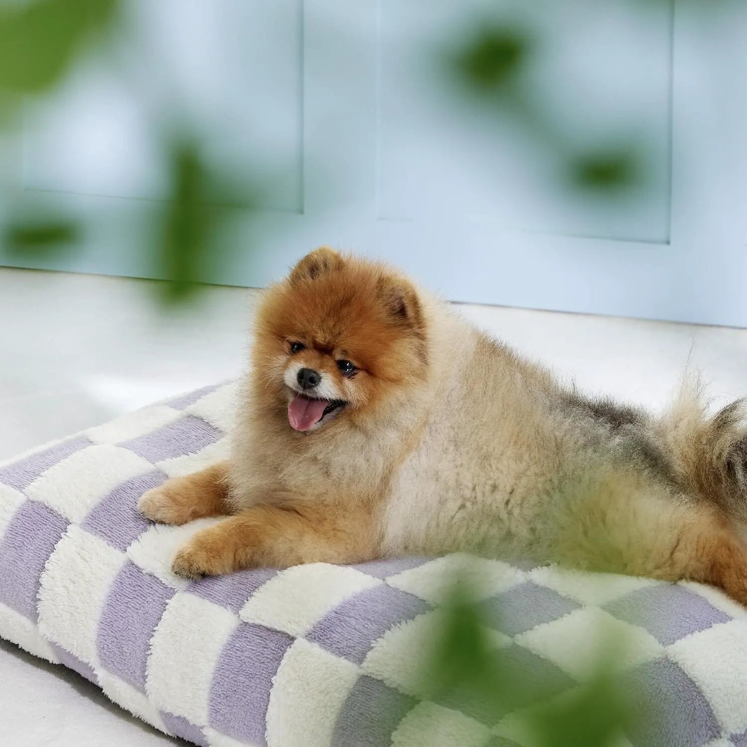 Lesure Dog Bed