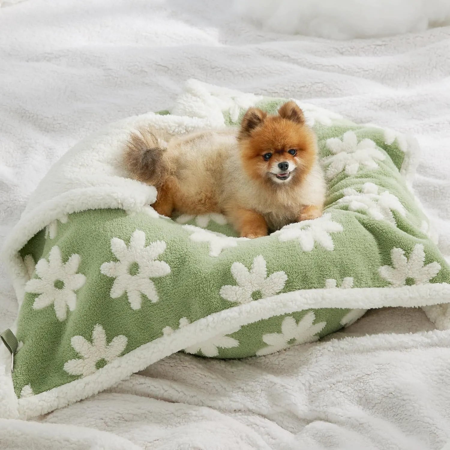 Lesure Waterproof Pet Blanket for Dogs and Cats