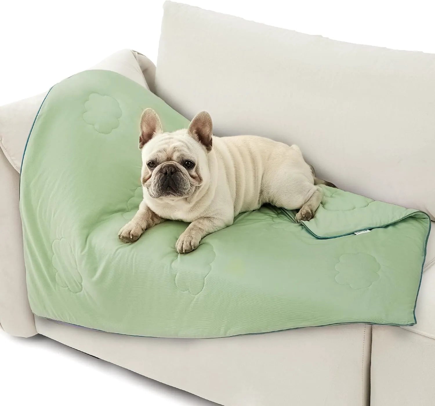 Lesure Cooling Blanket for Cats and Dogs