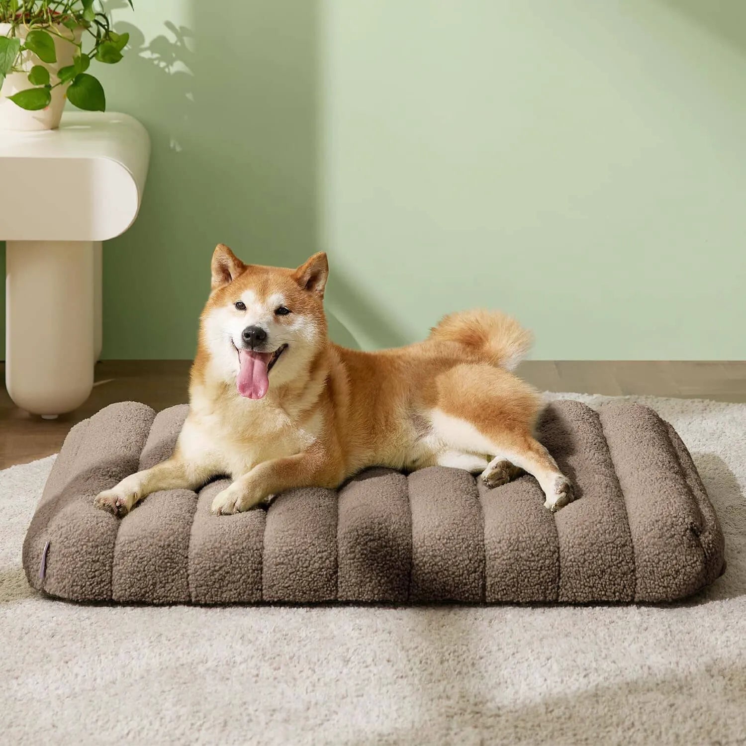Lesure Orthopedic Dog Bed