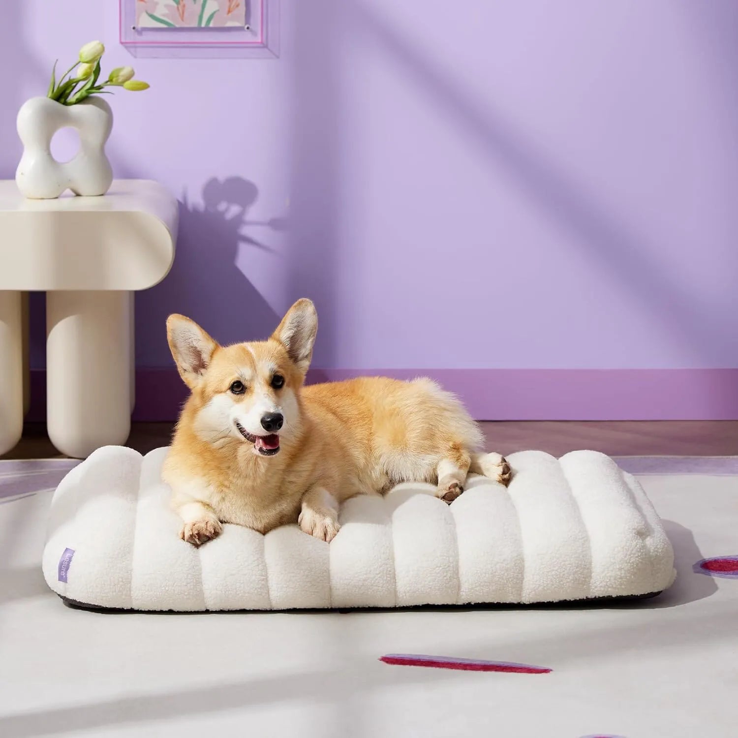 Lesure Orthopedic Dog Bed