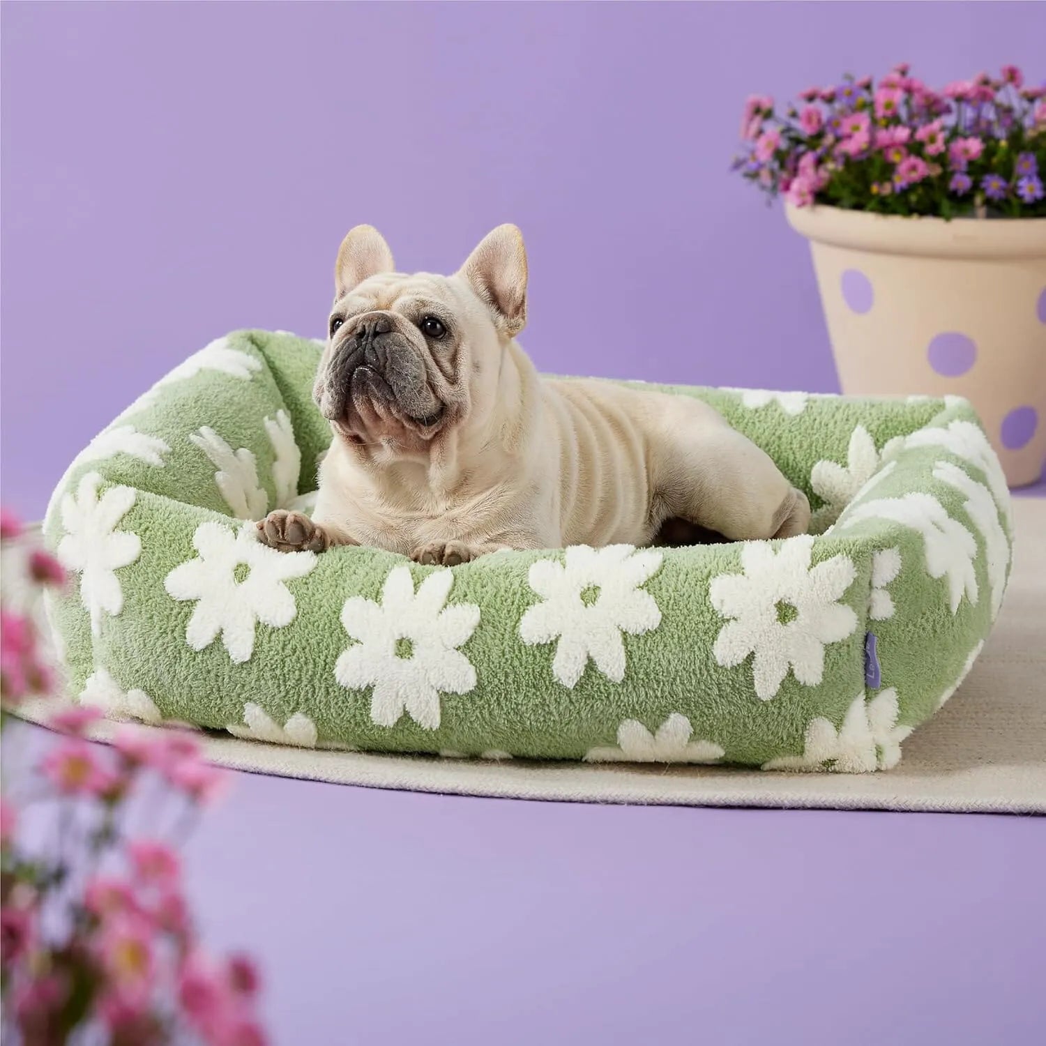 Lesure Rectangle Pet Bed