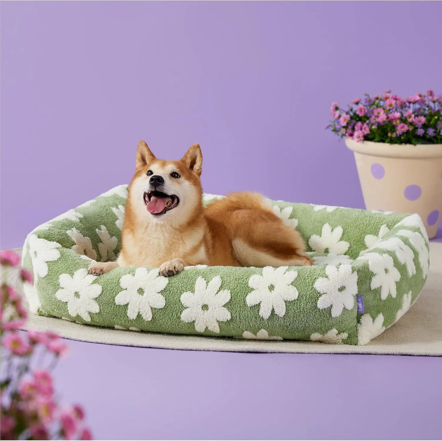 Lesure Rectangle Pet Bed