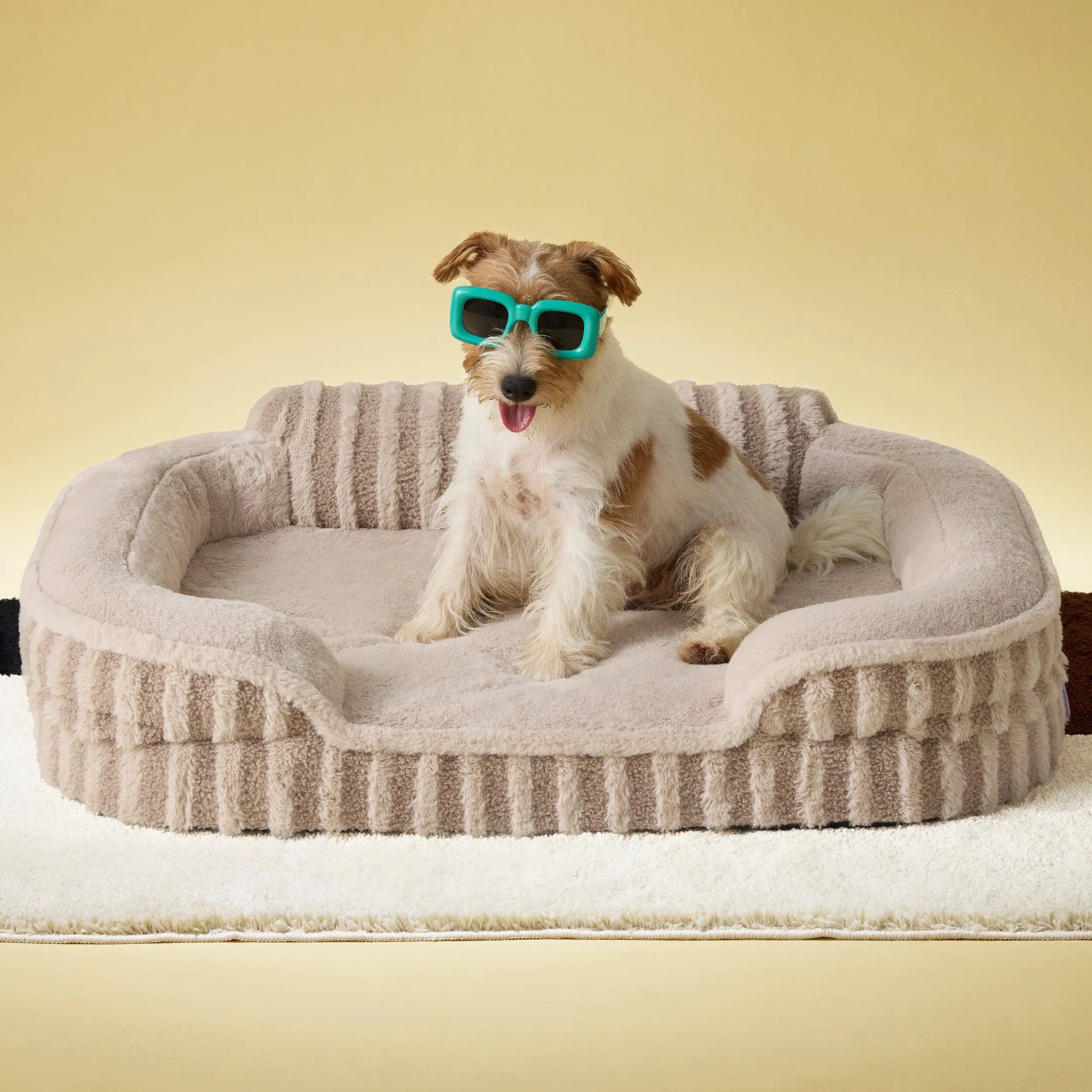 Lesure High Back Pet Sofa