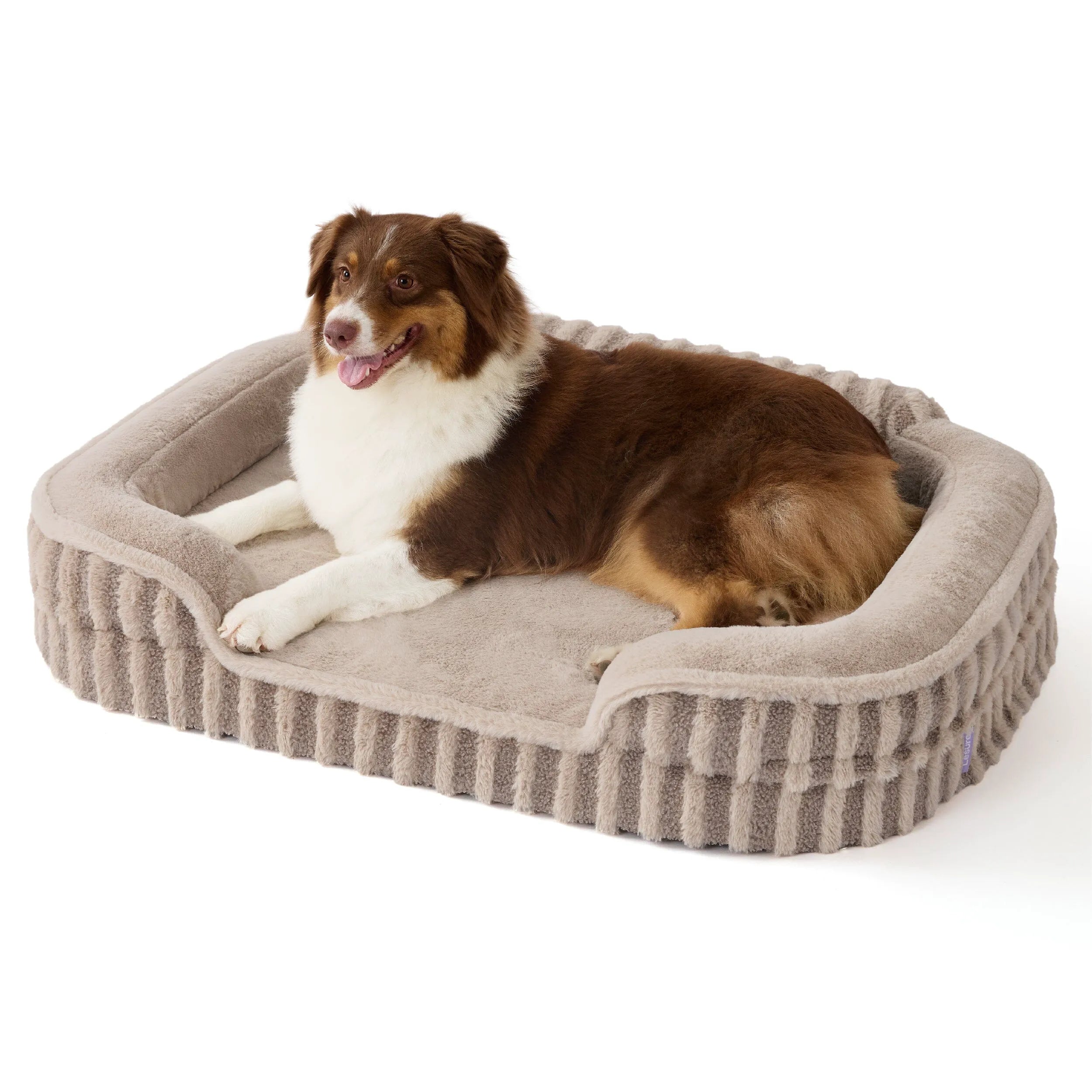 Lesure High Back Pet Sofa