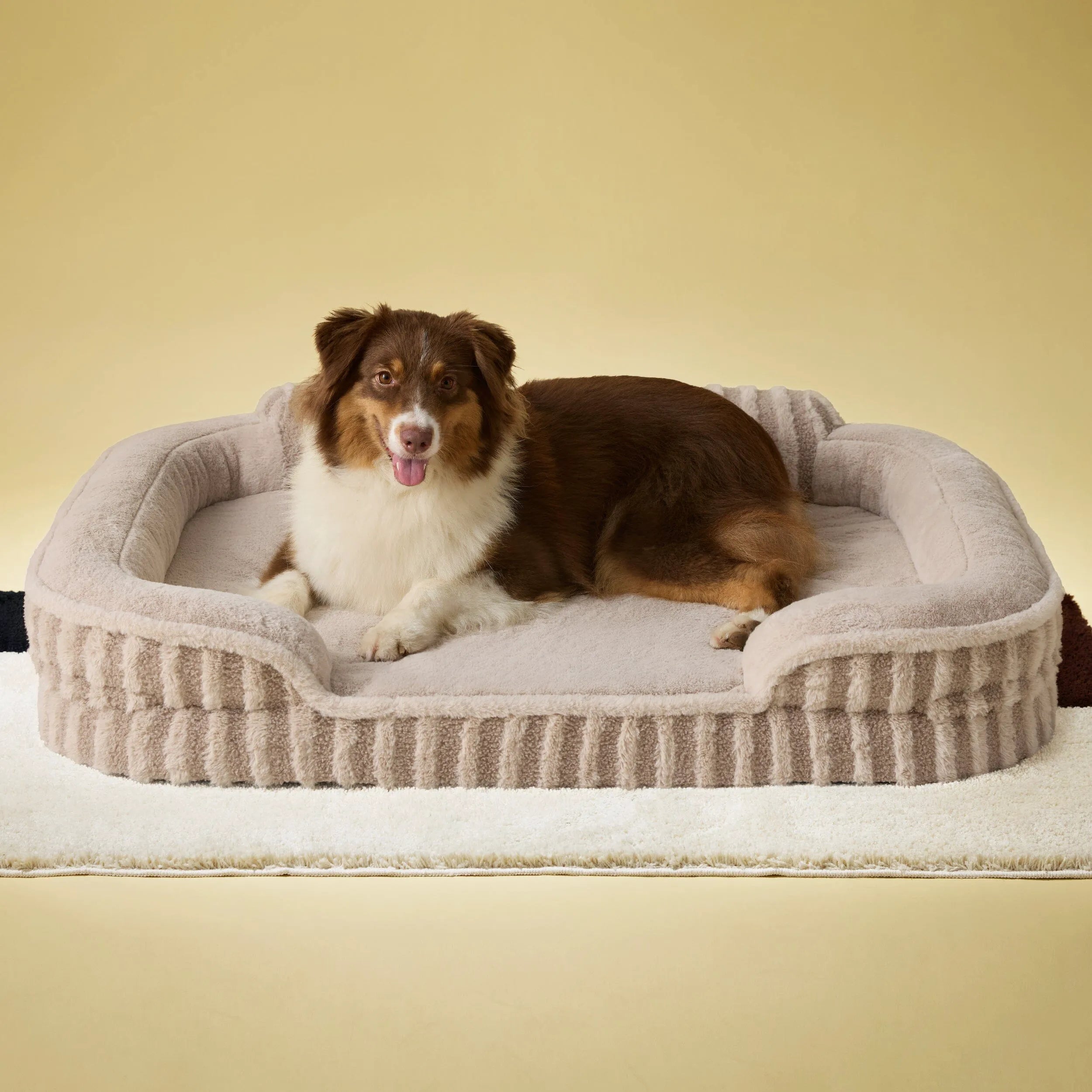 Lesure High Back Pet Sofa