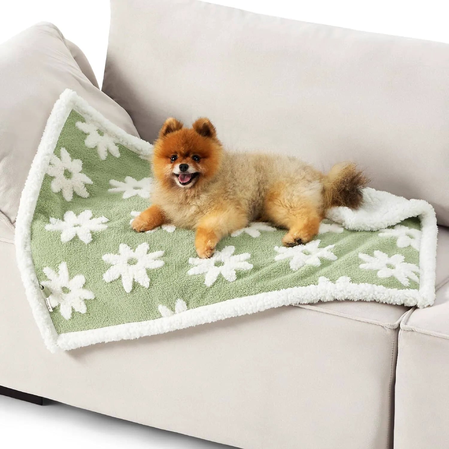 Lesure Waterproof Pet Blanket for Dogs and Cats
