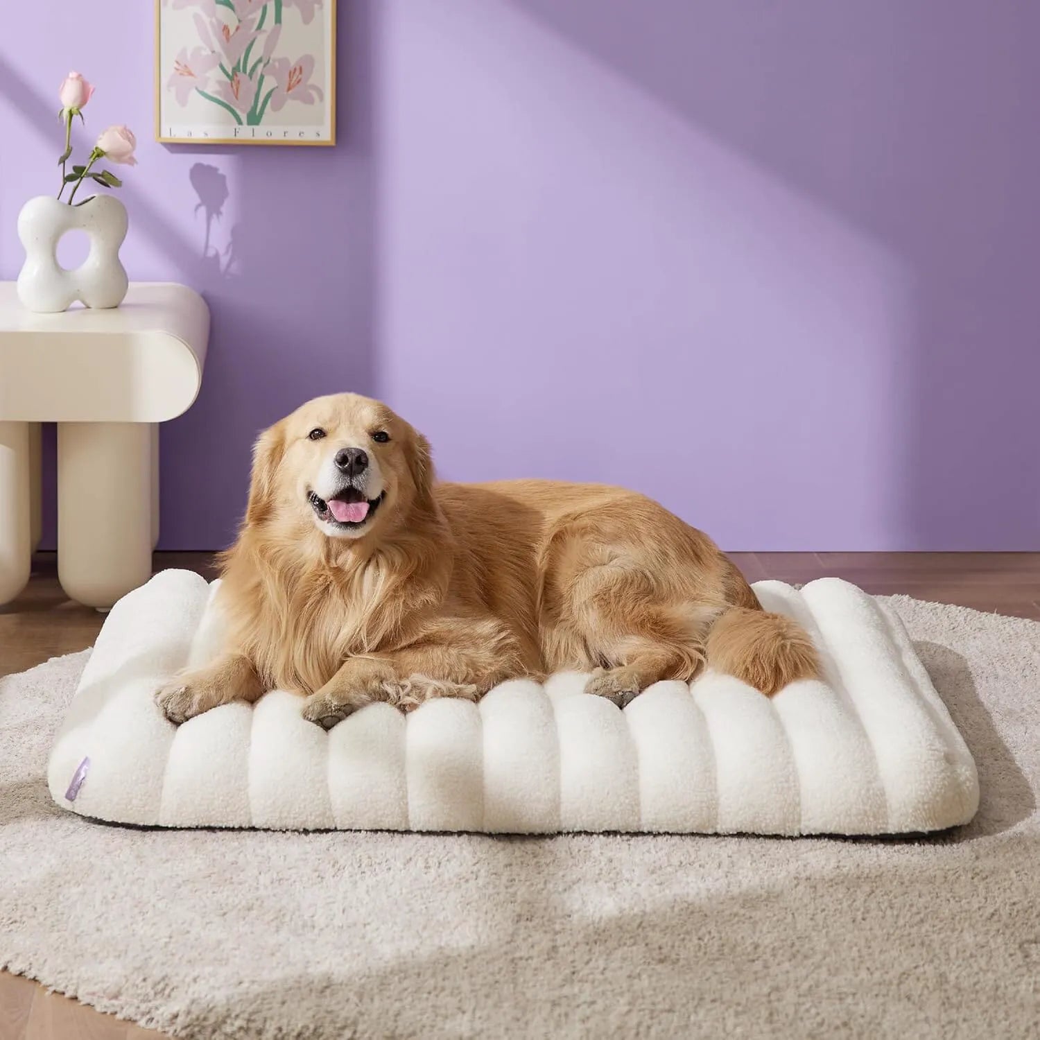 Lesure Orthopedic Dog Bed
