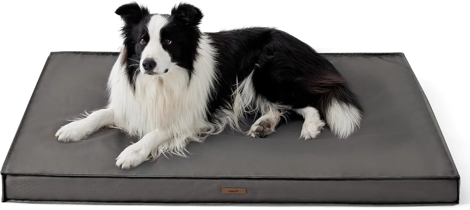 Lesure Waterproof Dog Bed