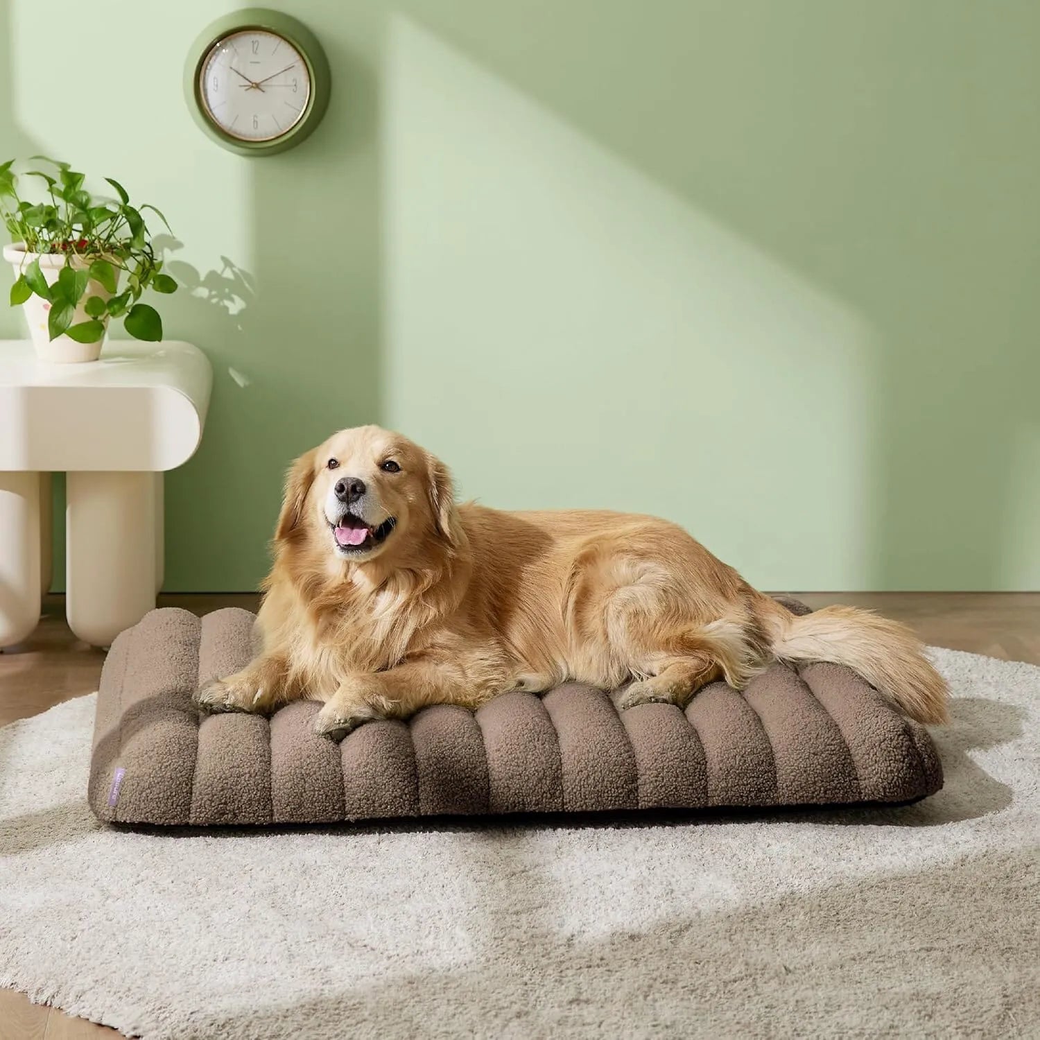 Lesure Orthopedic Dog Bed