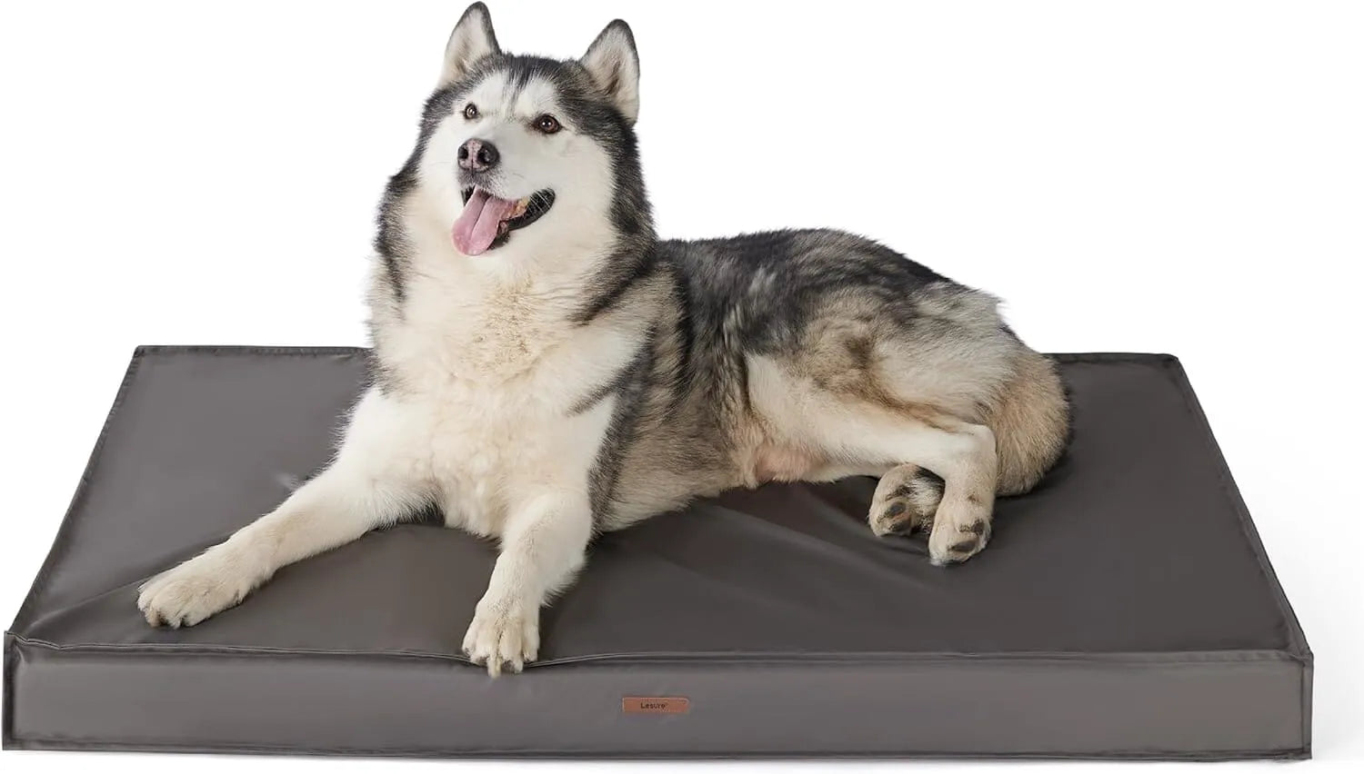 Lesure Waterproof Dog Bed