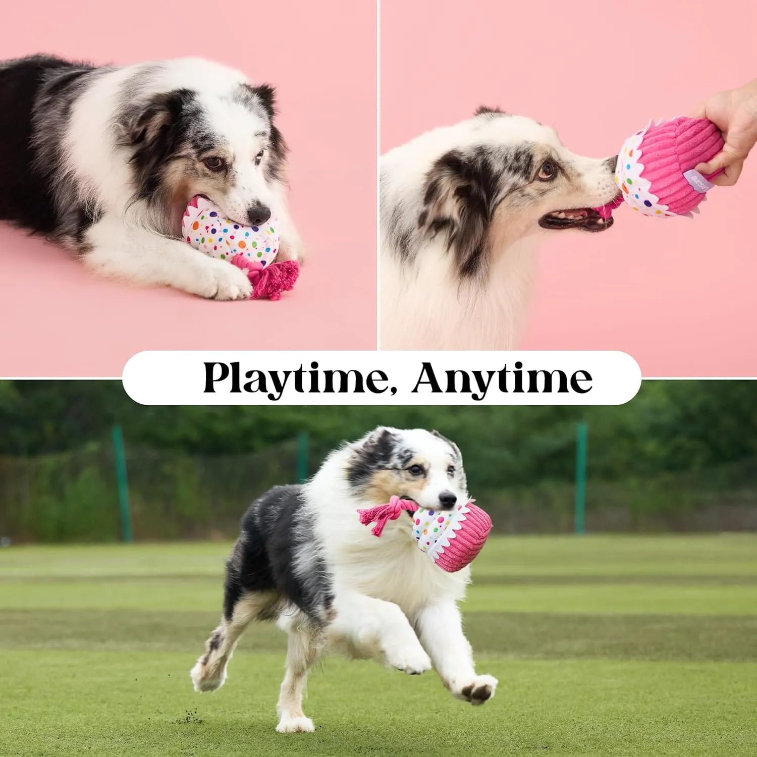 Lesure Dog Plush Toy