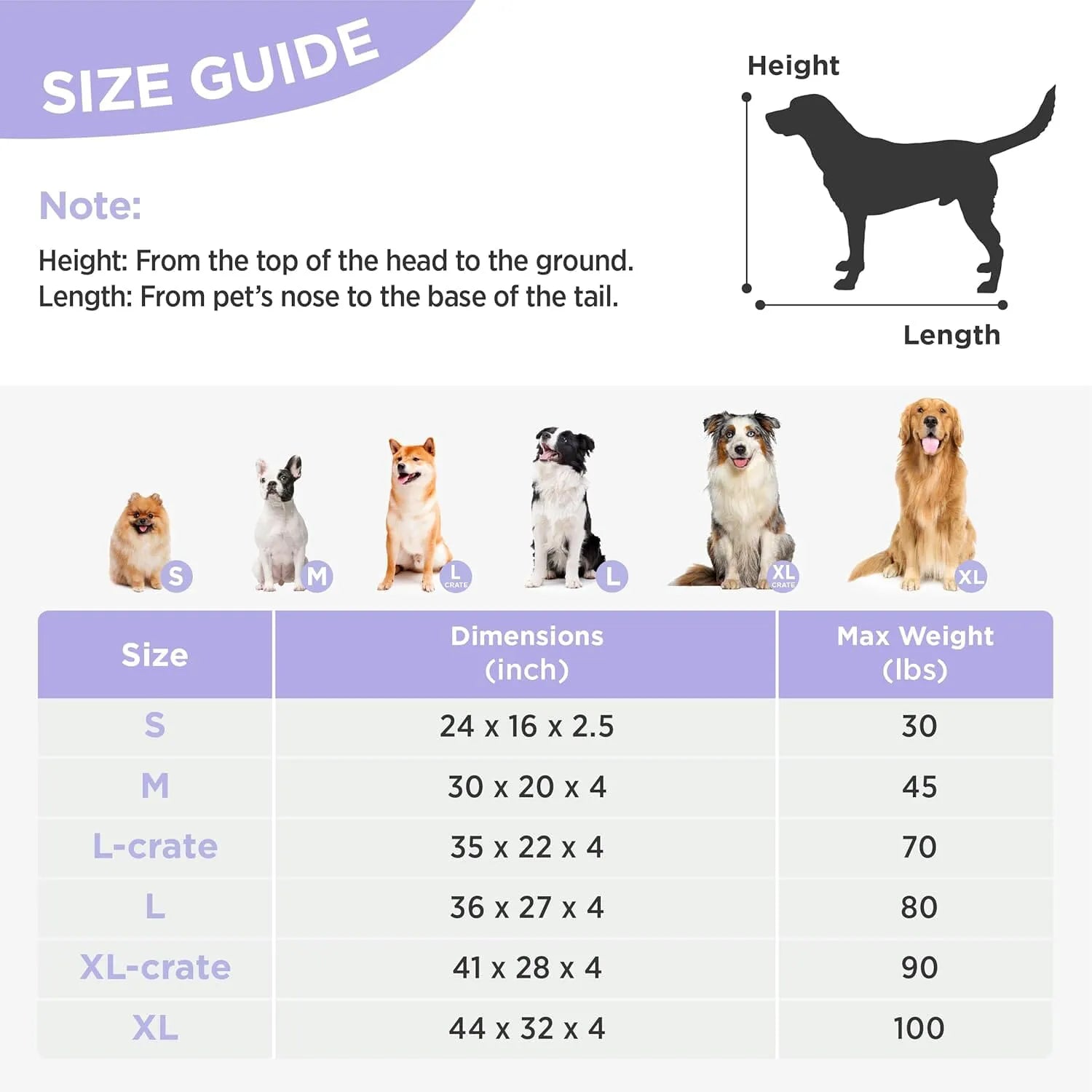 Lesure Dog Bed