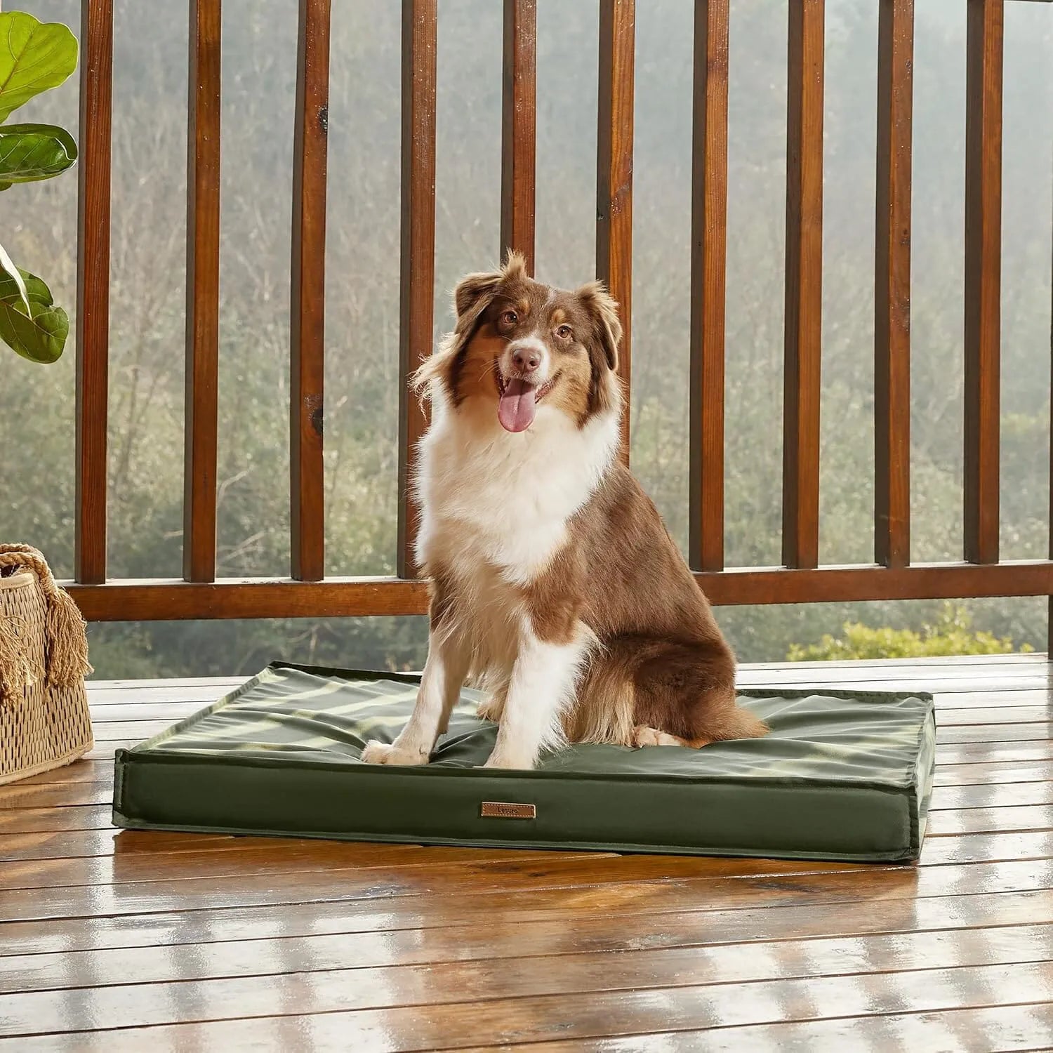 Lesure Waterproof Dog Bed