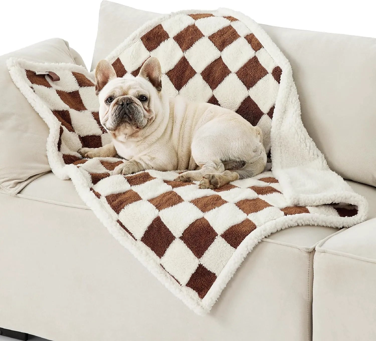 Lesure Waterproof Pet Blanket for Dogs and Cats