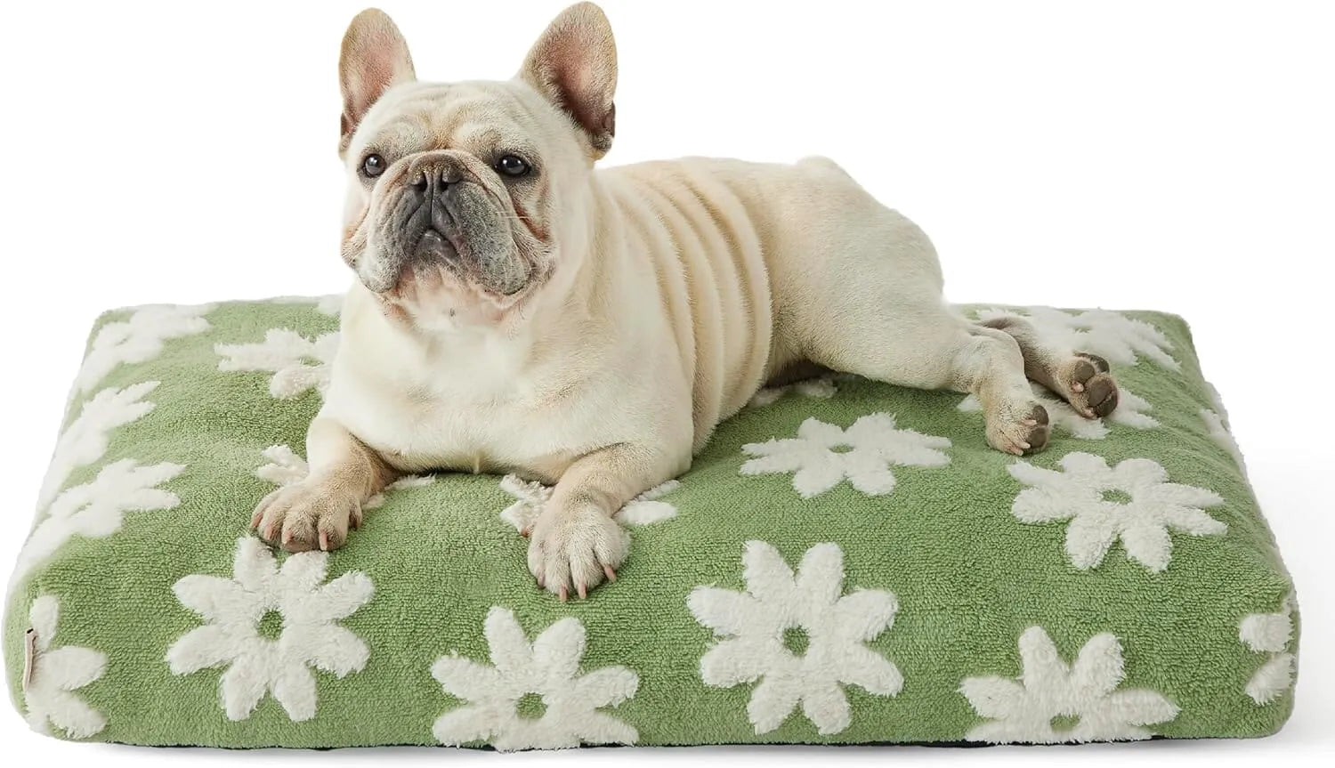 Lesure Dog Bed