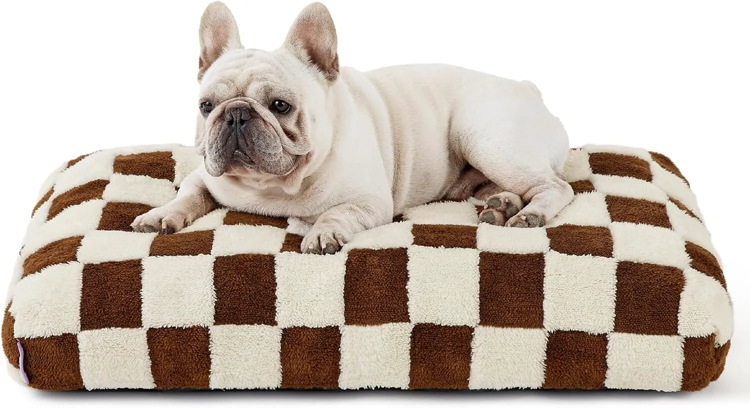 Lesure Dog Bed