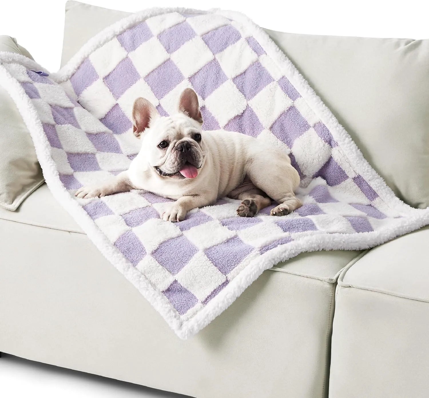 Lesure Waterproof Pet Blanket for Dogs and Cats