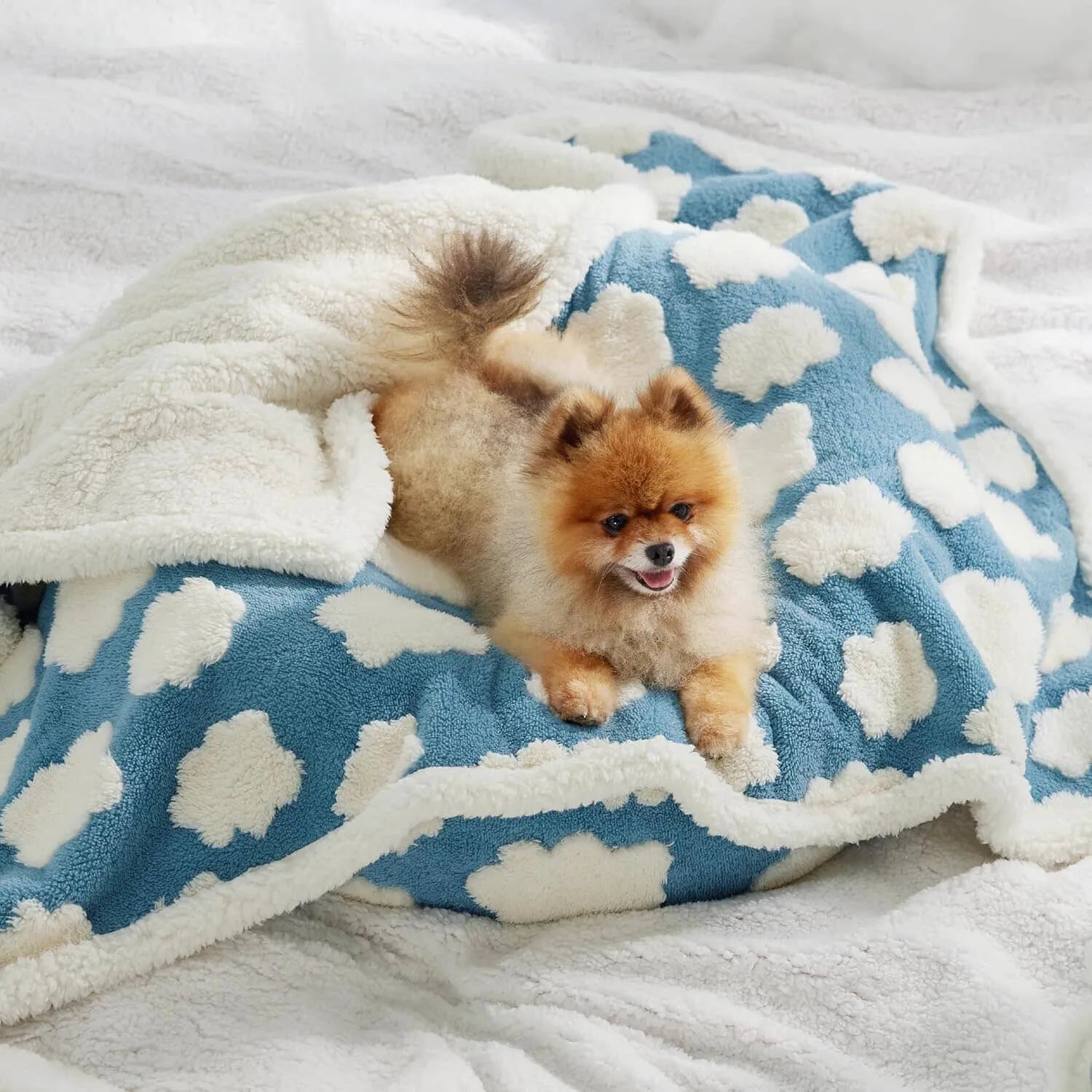 Lesure Waterproof Pet Blanket for Dogs and Cats