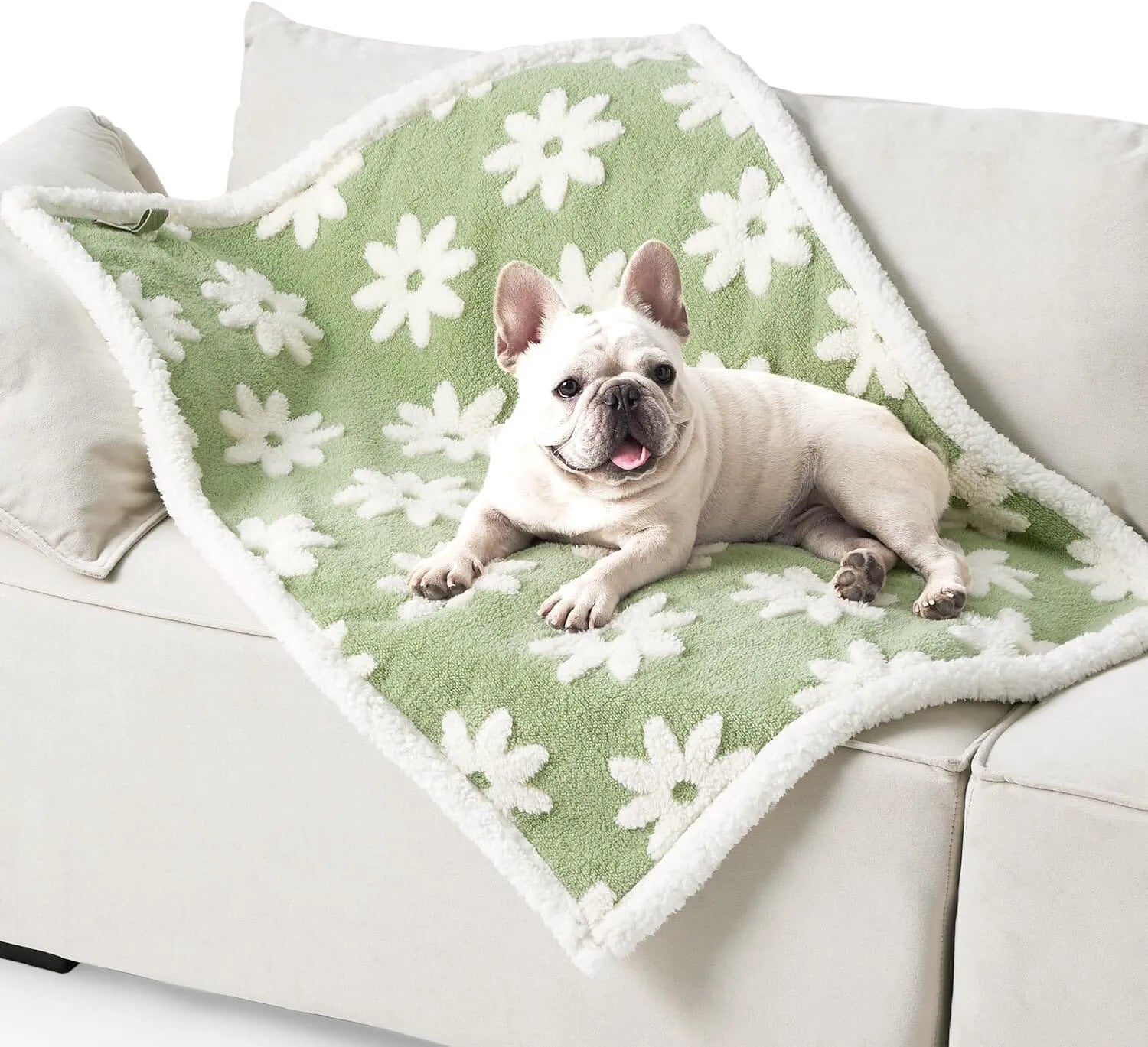 Lesure Waterproof Pet Blanket for Dogs and Cats