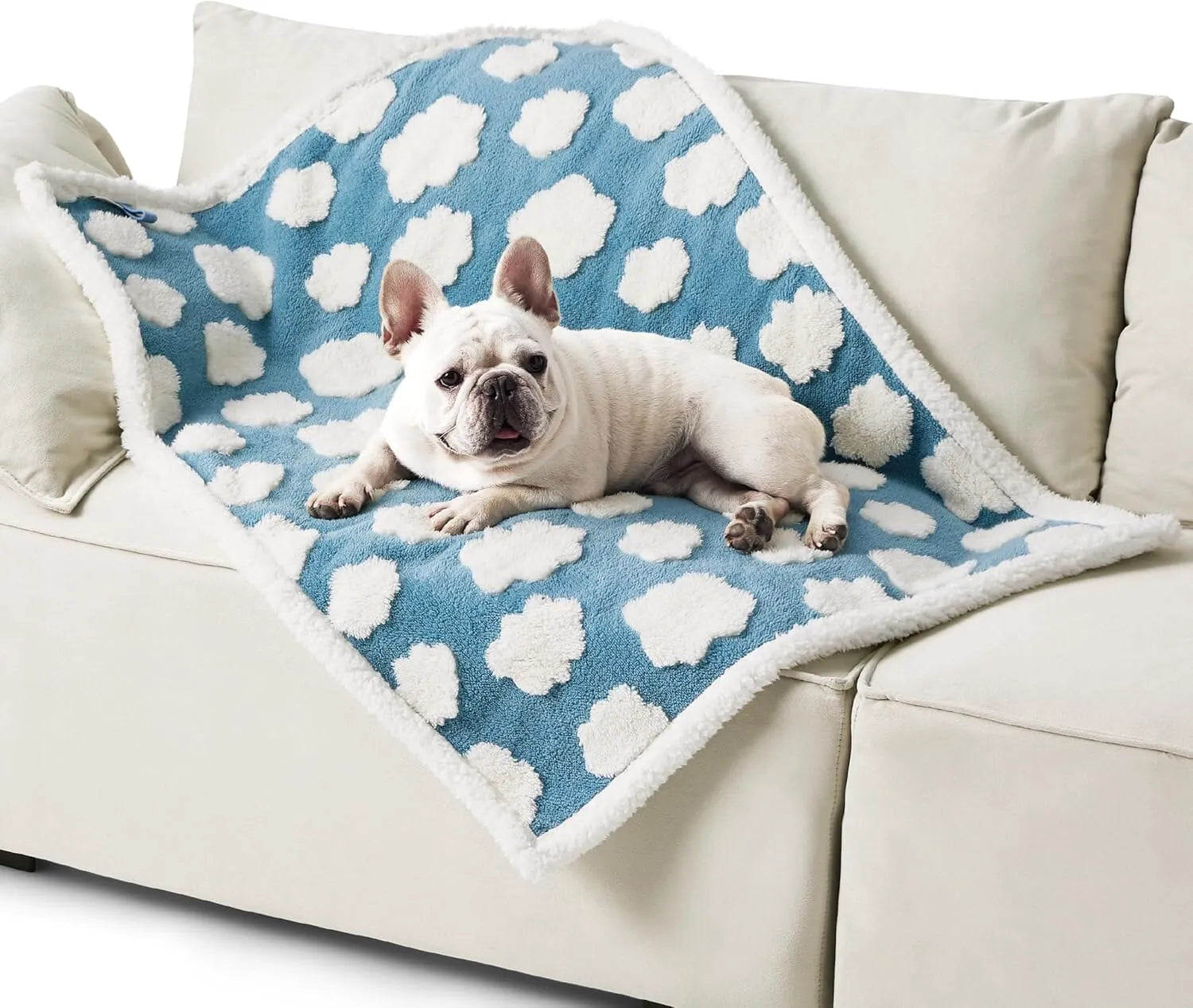 Lesure Waterproof Pet Blanket for Dogs and Cats