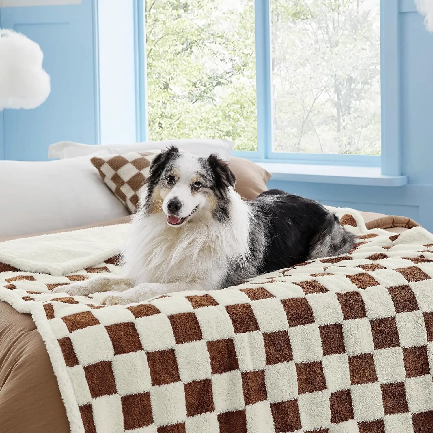 Lesure Waterproof Pet Blanket for Dogs and Cats