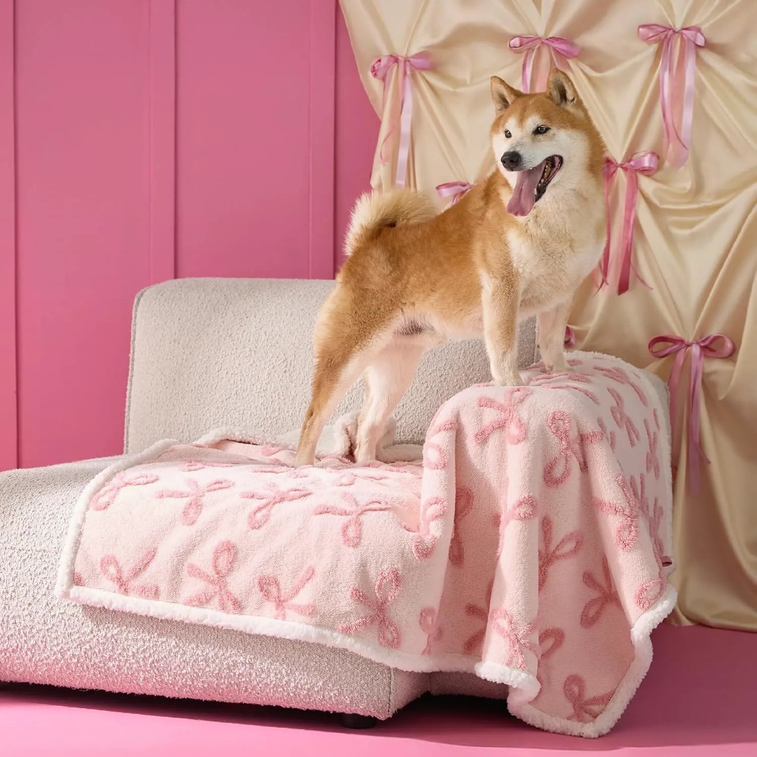 Lesure Waterproof Pet Blanket for Dogs and Cats